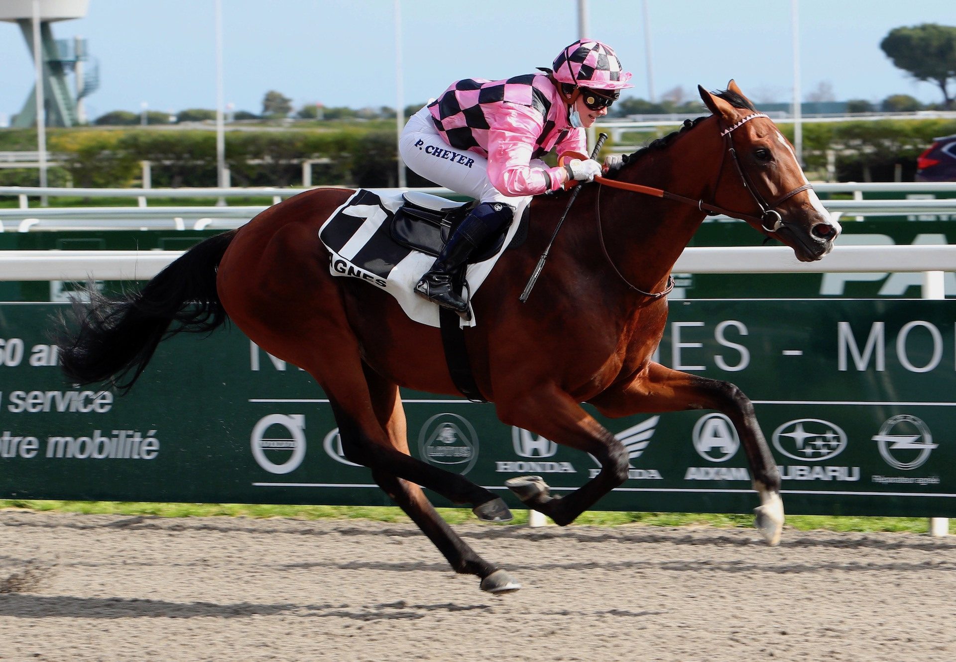 Alessandro (Australia) Wins Impressively At Cagnes Sur Mer