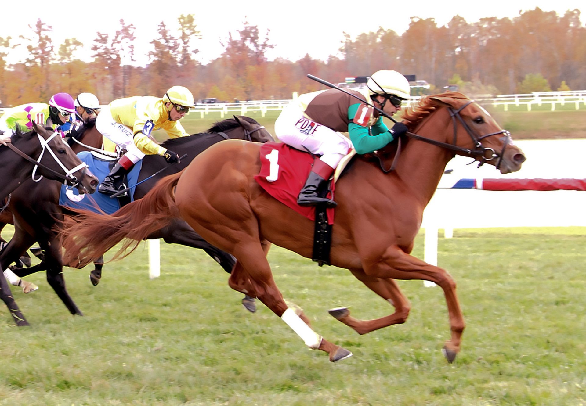 Alla Breve (Mendelssohn) Wins Laurel MSW