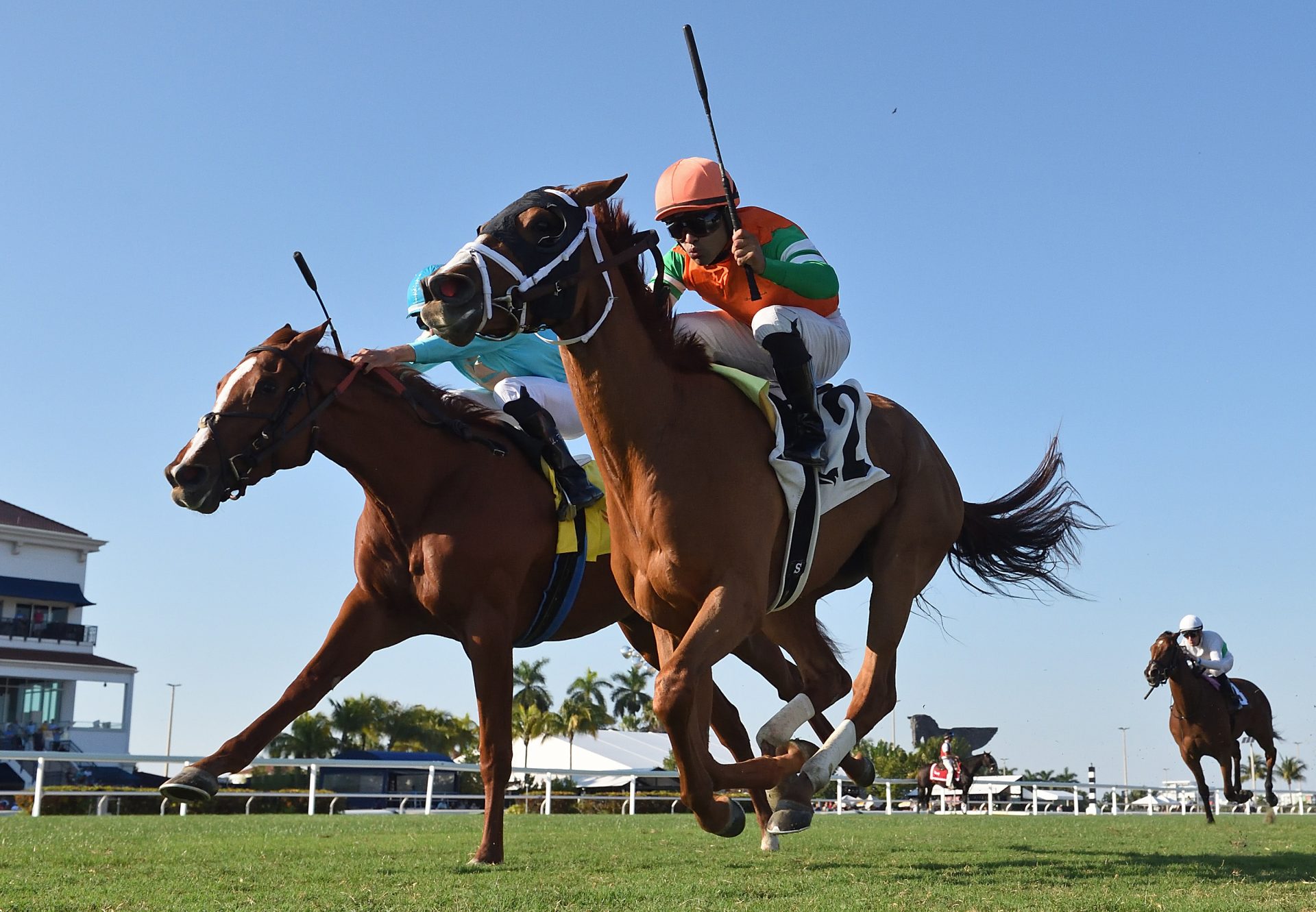 Alpha Bella (Justify) Wins Gulfstream MSW