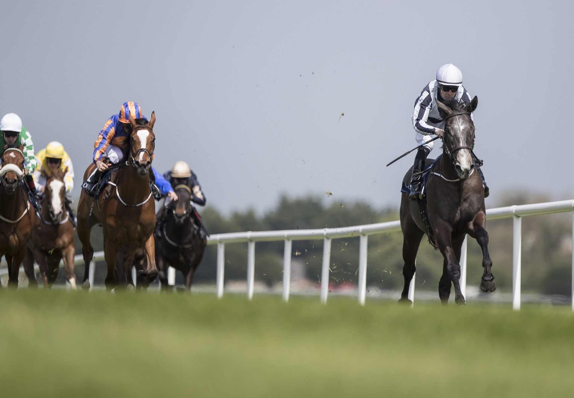 Alpha Centauri (Mastercraftsman) Winning A Maiden At Naas