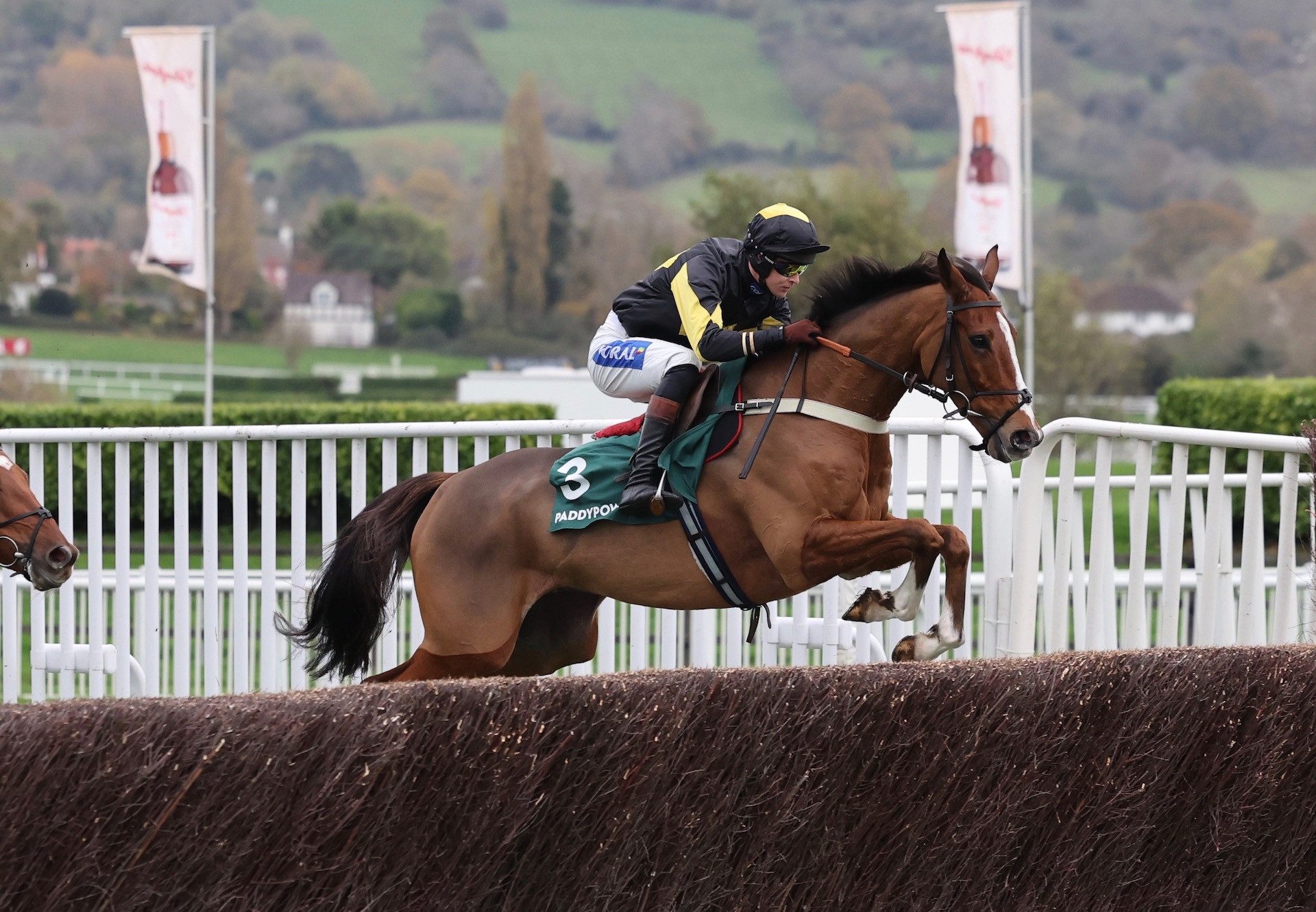 Amarillo Sky (Westerner) Win The Class 2 Paddy Power Handicap Chase At Cheltenham