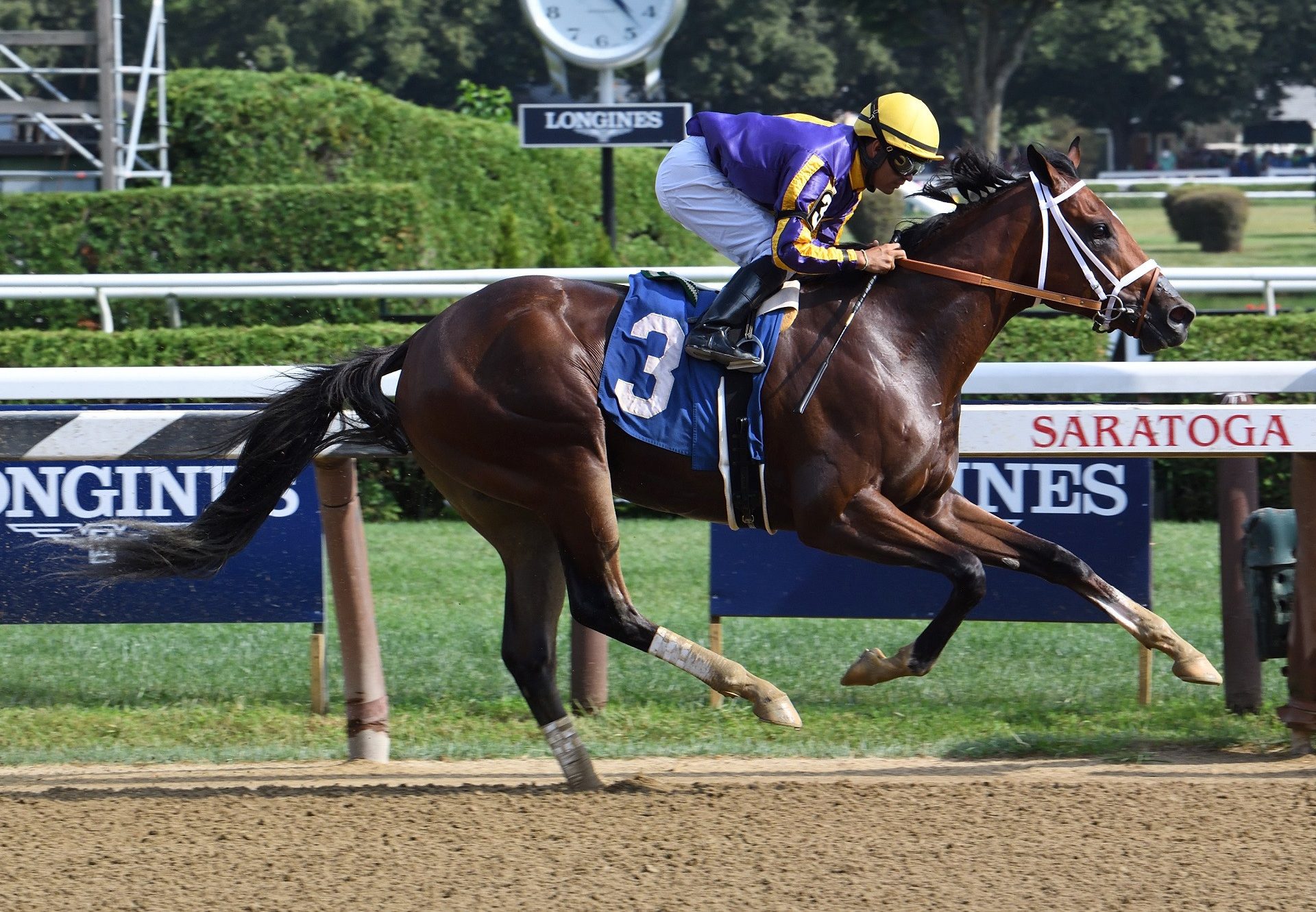 American Butterfly (Saratoga) winning a MSW at Saratoga