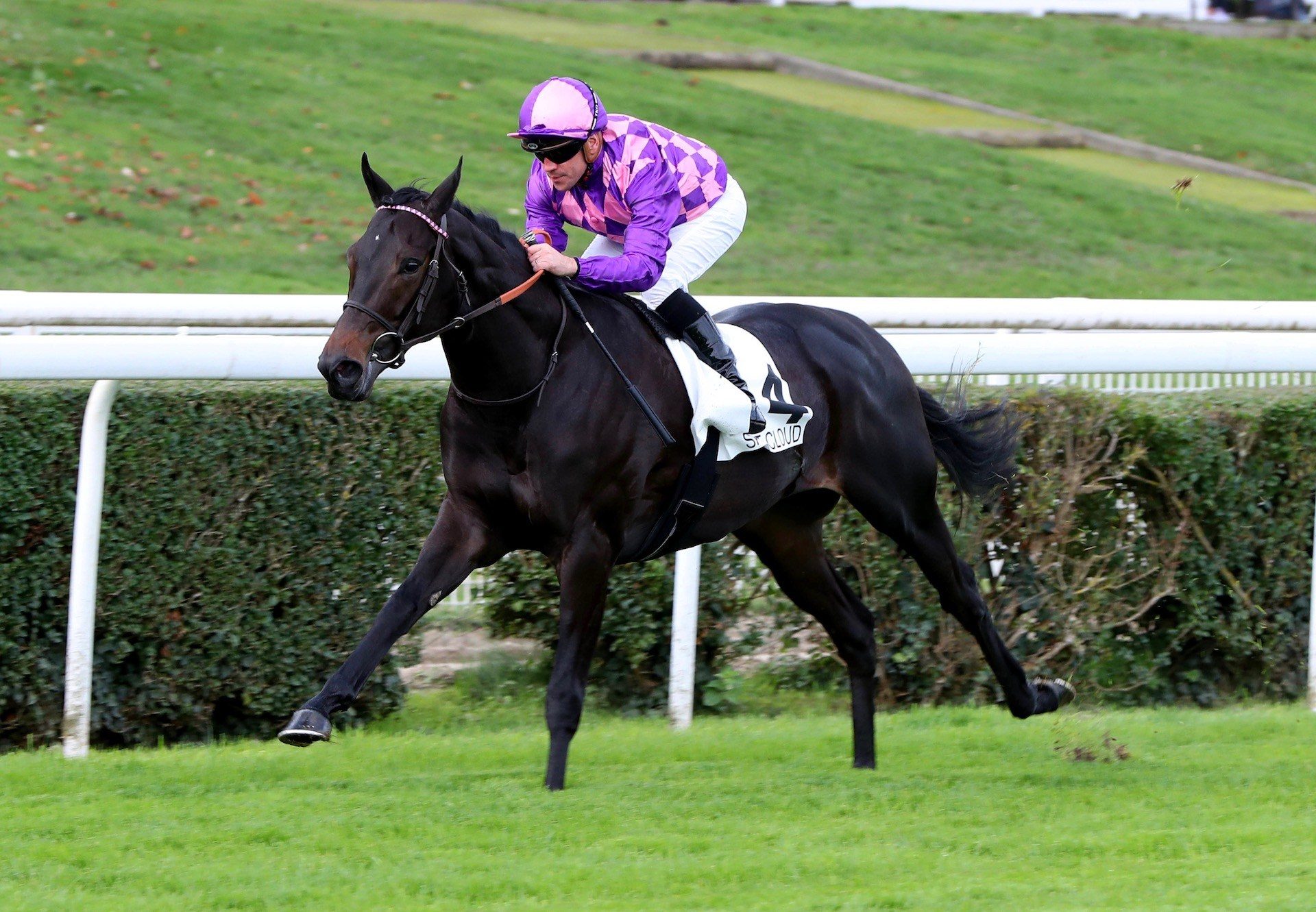 American Flag (Wootton Bassett) Impresses At Saint Cloud