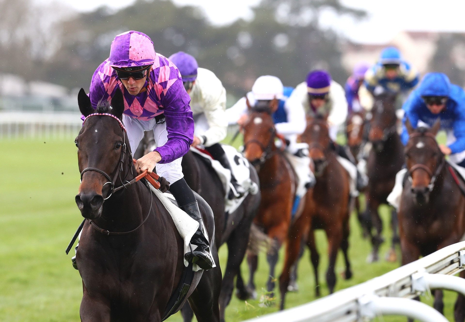 American Flag (Wootton Bassett) Wins The Listed Prix Omnium II at Saint-Cloud