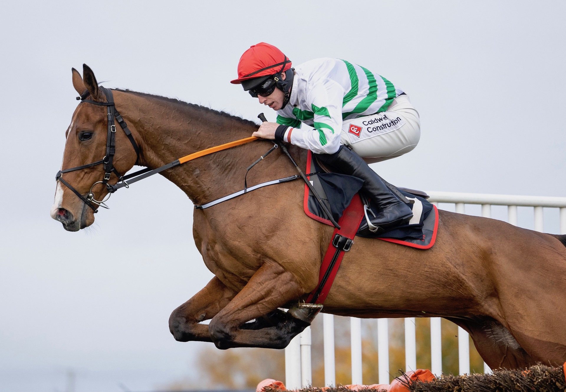 American Mike (Mahler) Makes A Winning Hurdle Debut at Down Royal