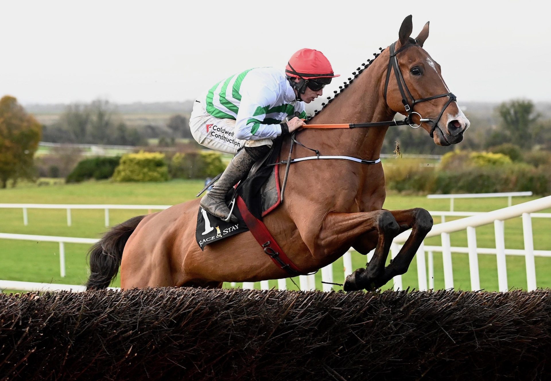 American Mike (Mahler) Wins The Beginners Chase At Navan