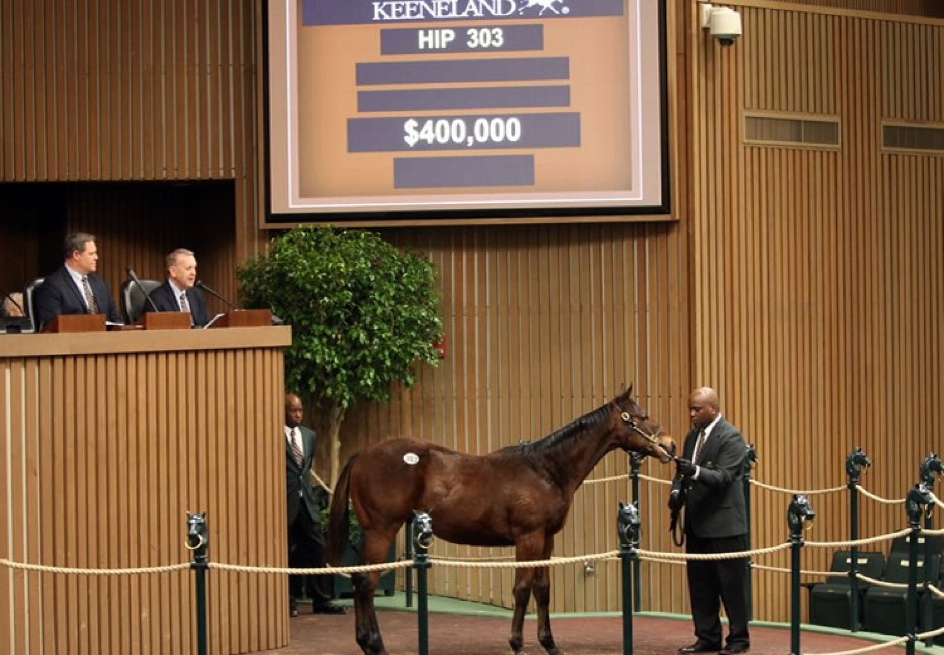 American Pharoah ex Air France Yearling Colt