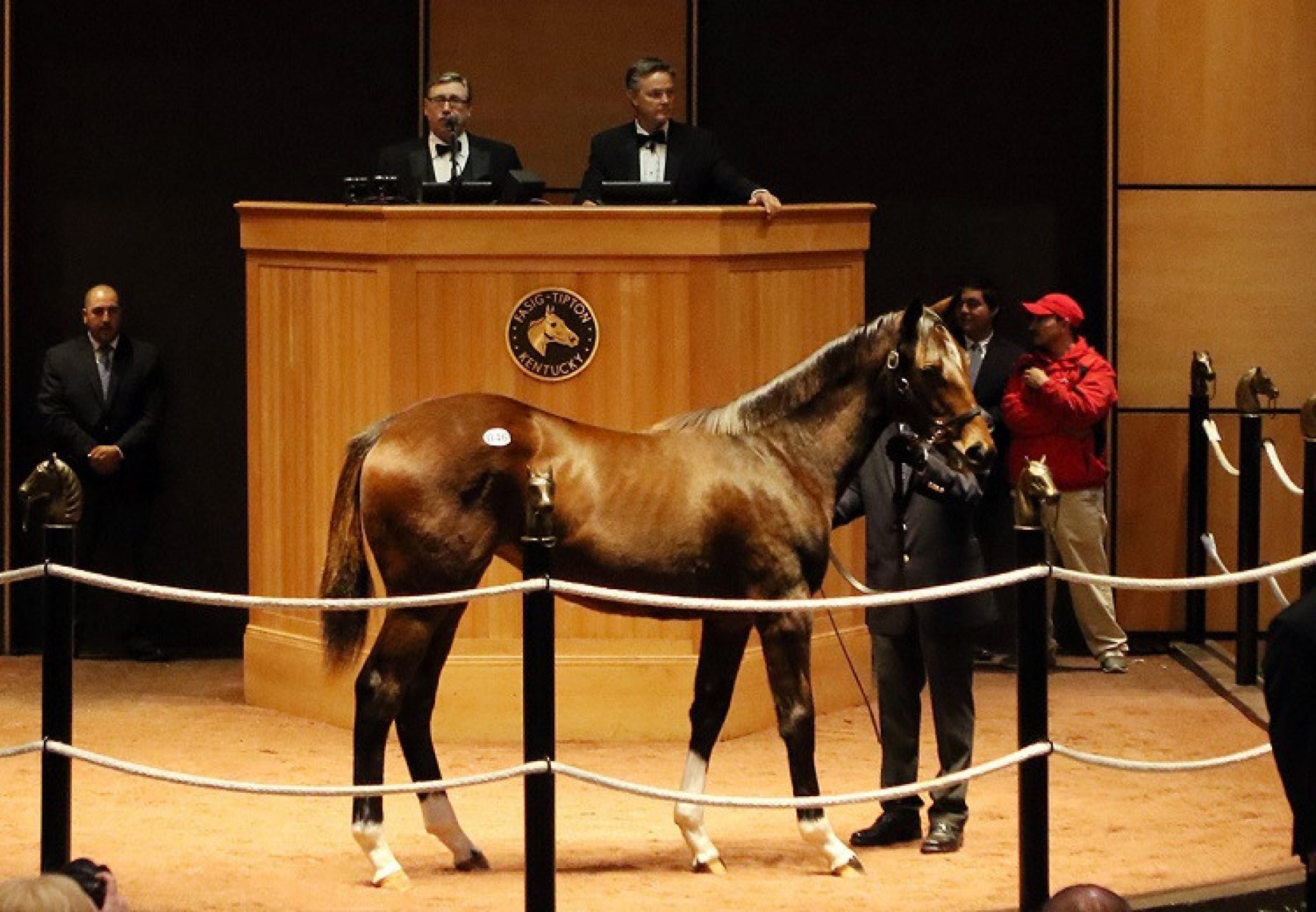 American Pharoah Ex Untouched Talent