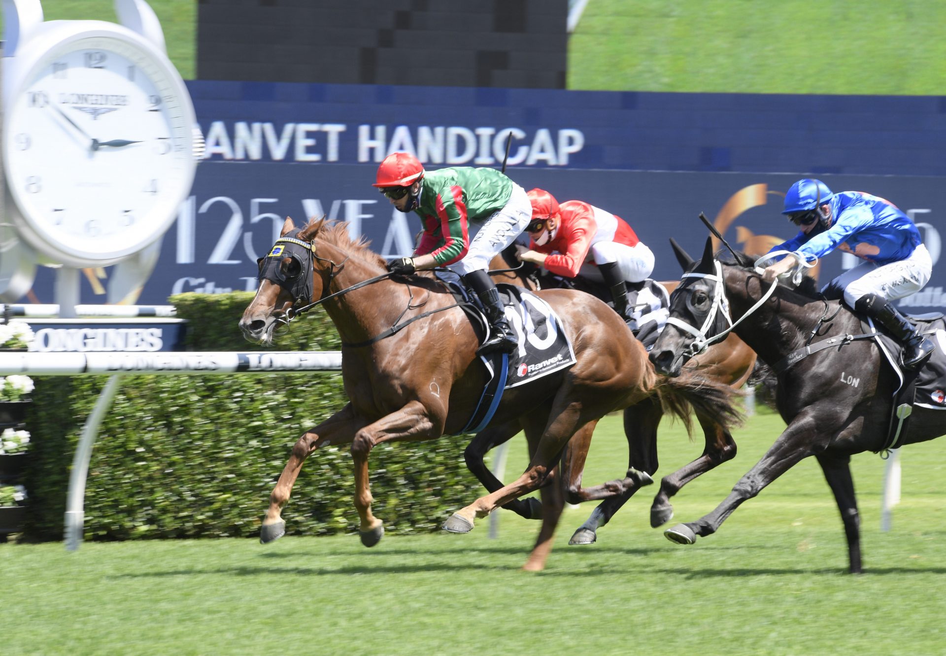 Amica (Rubick) winning at Randwick