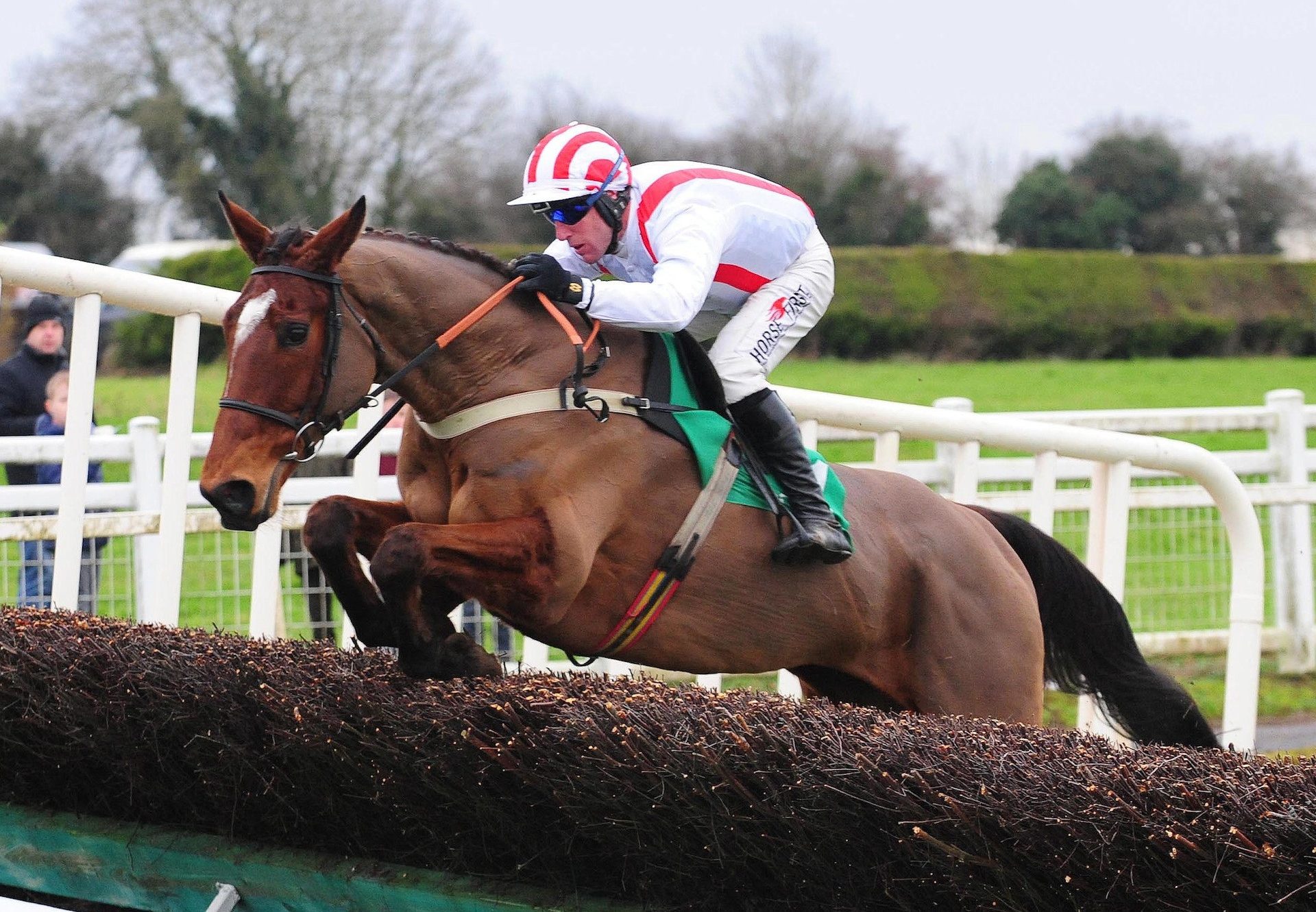 An Fraoch Mor (Mahler) Wins At Navan