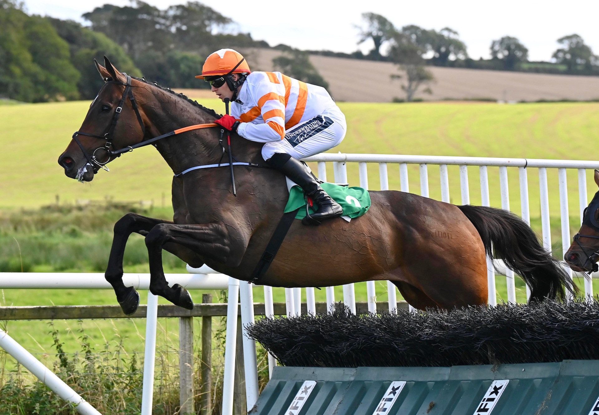 An Mhi (Walk In The Park) Wins The Rated Hurdle At Downpatrick