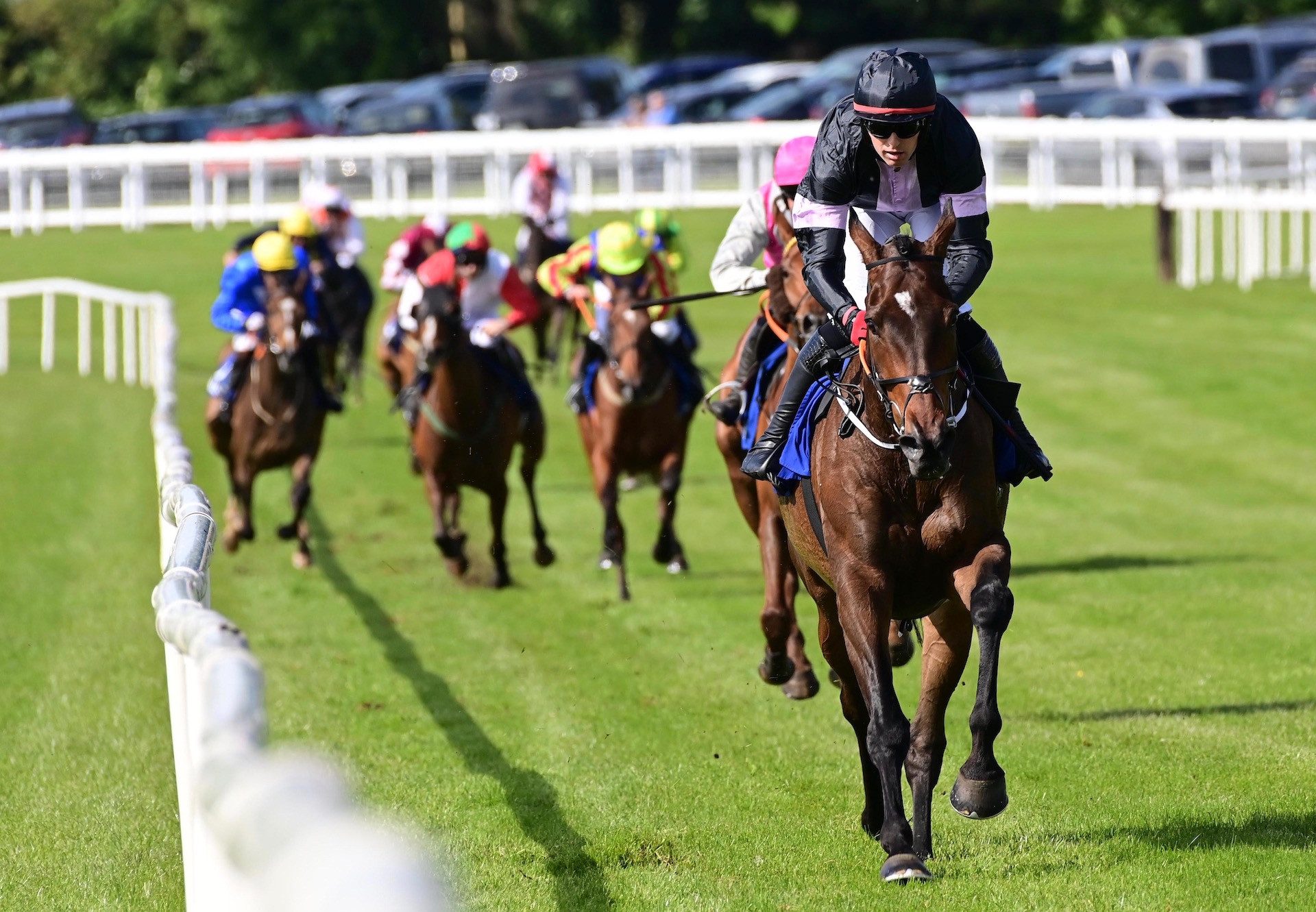 An Mhi (Walk In The Park) Wins The Maiden Hurdle At Ballinrobe