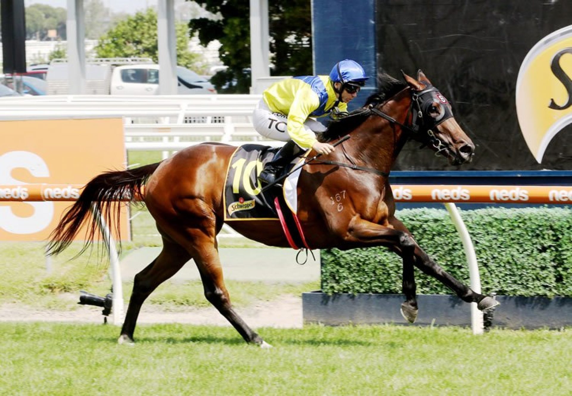 Anaheed (Fastnet Rock) winning the Gr.2 MRC Rubiton Stakes at Caulfield.