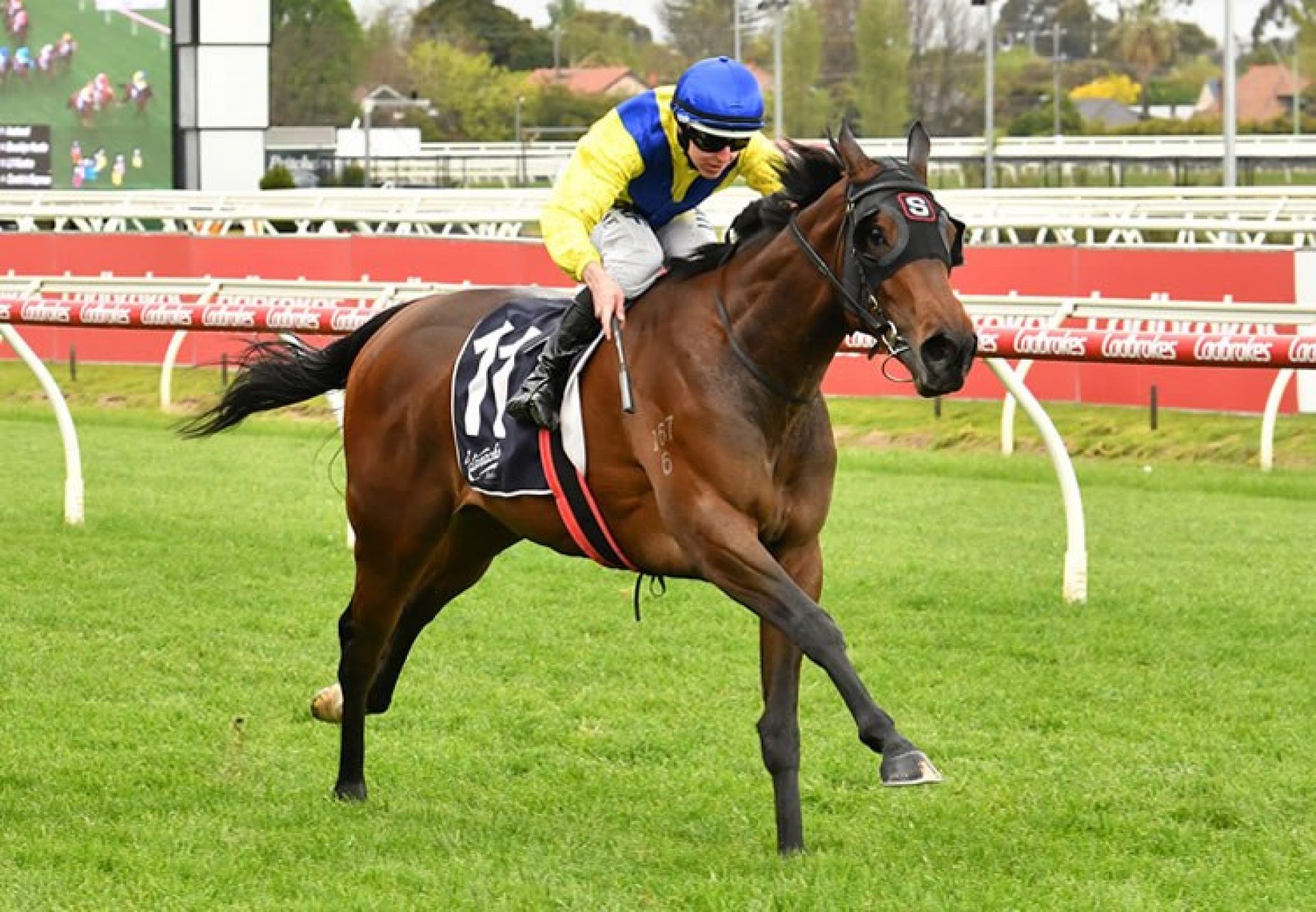 Anaheed (Fastnet Rock) winning the Gr.3 Blue Sapphire Stakes at Caulfield