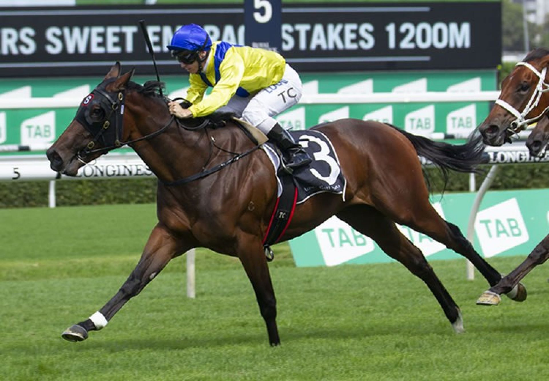 Anaheed (Fastnet Rock) winning the ATC Victory Vein Plate at Randwick