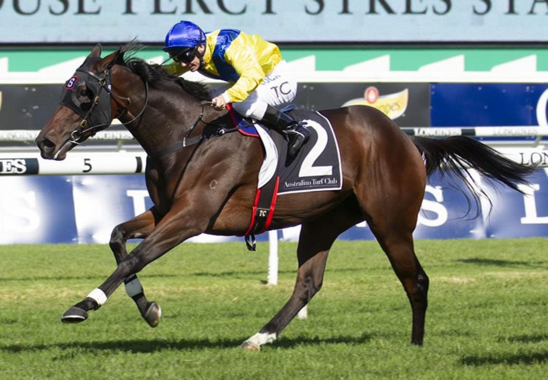 Anaheed (Fastnet Rock) winning the G2 Percy Sykes Stakes at Randwick