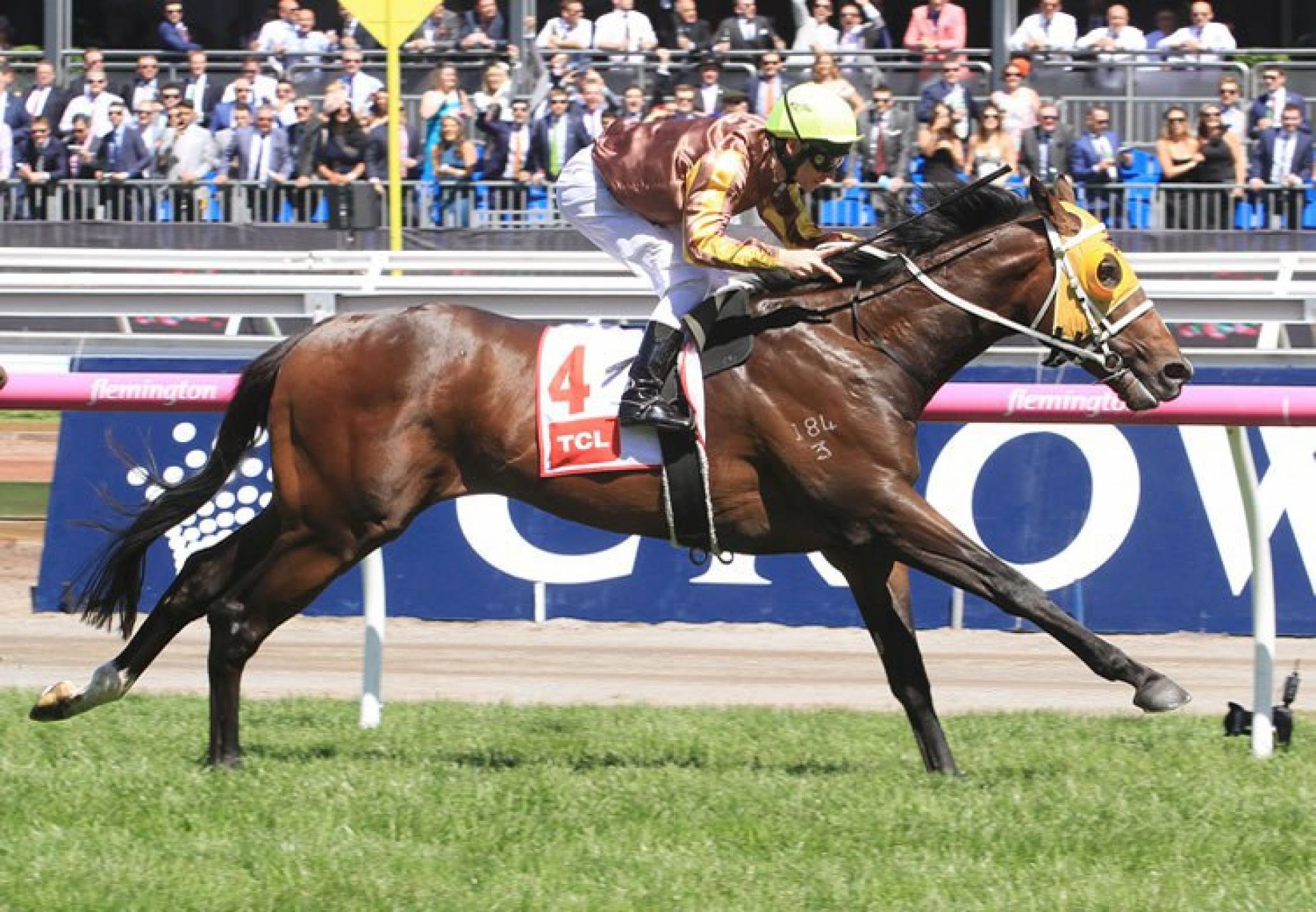 Anaheim (Fastnet Rock)