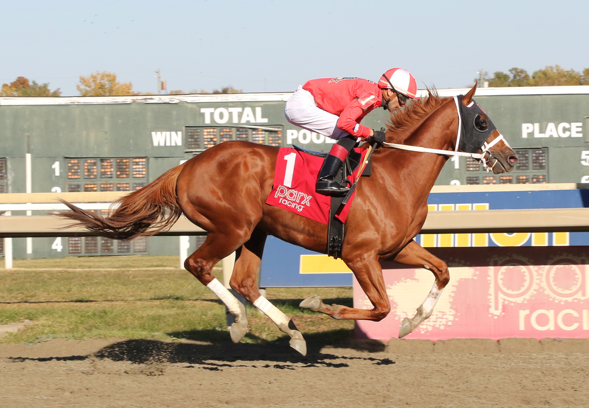 Analog Jones (Maximum Security) Wins Parx Msw