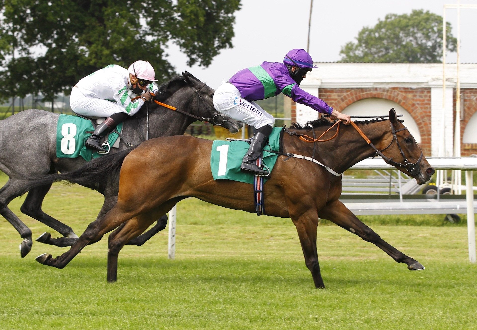 Angel Of The Glen (Gleneagles) winning at Thirsk