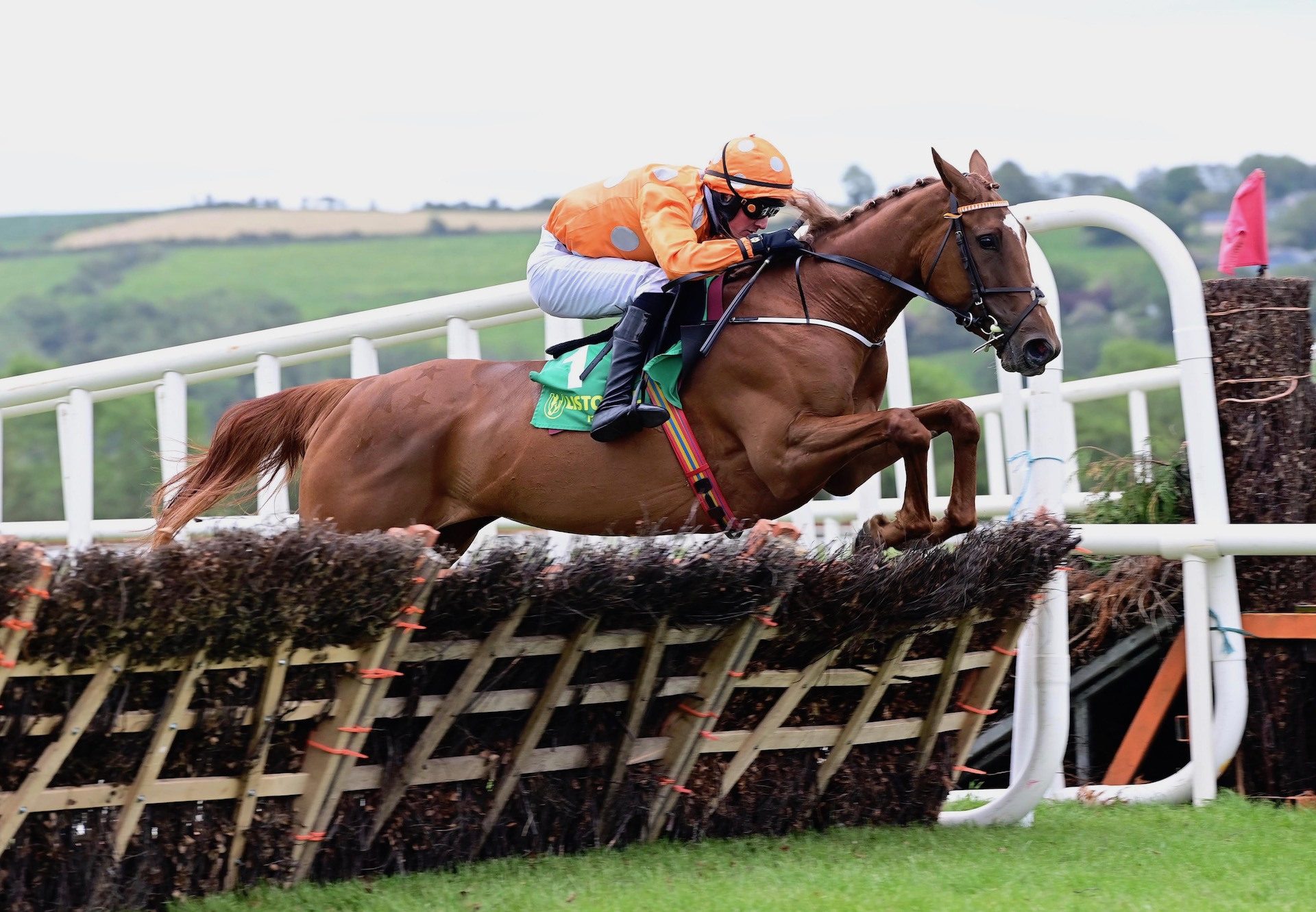 Annie G (Getaway) Races Clear In The Mares Maiden Hurdle At Listowel