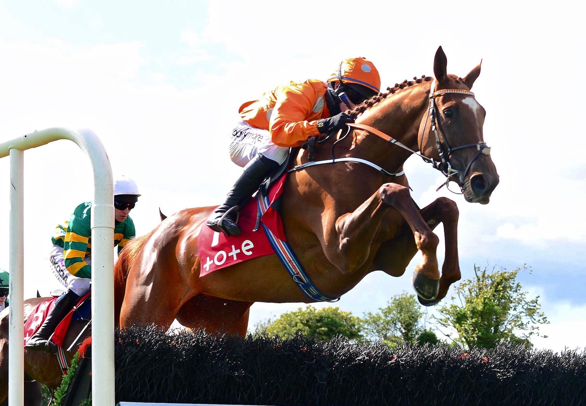 Annie G (Getaway) Wins The Listed Novice Hurdle At The Galway Festival