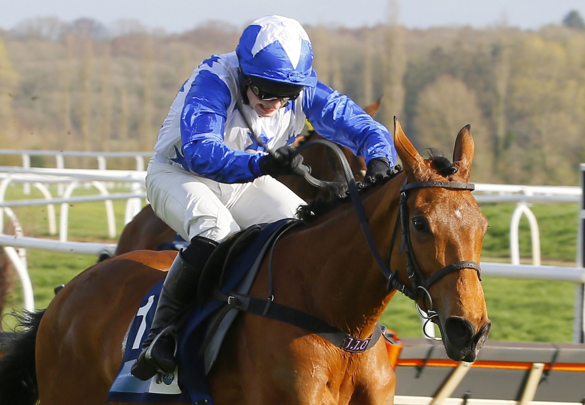 Annie Mc (Mahler) wings the Listed Yorkshire Silver Vase Mares Chase at Doncaster