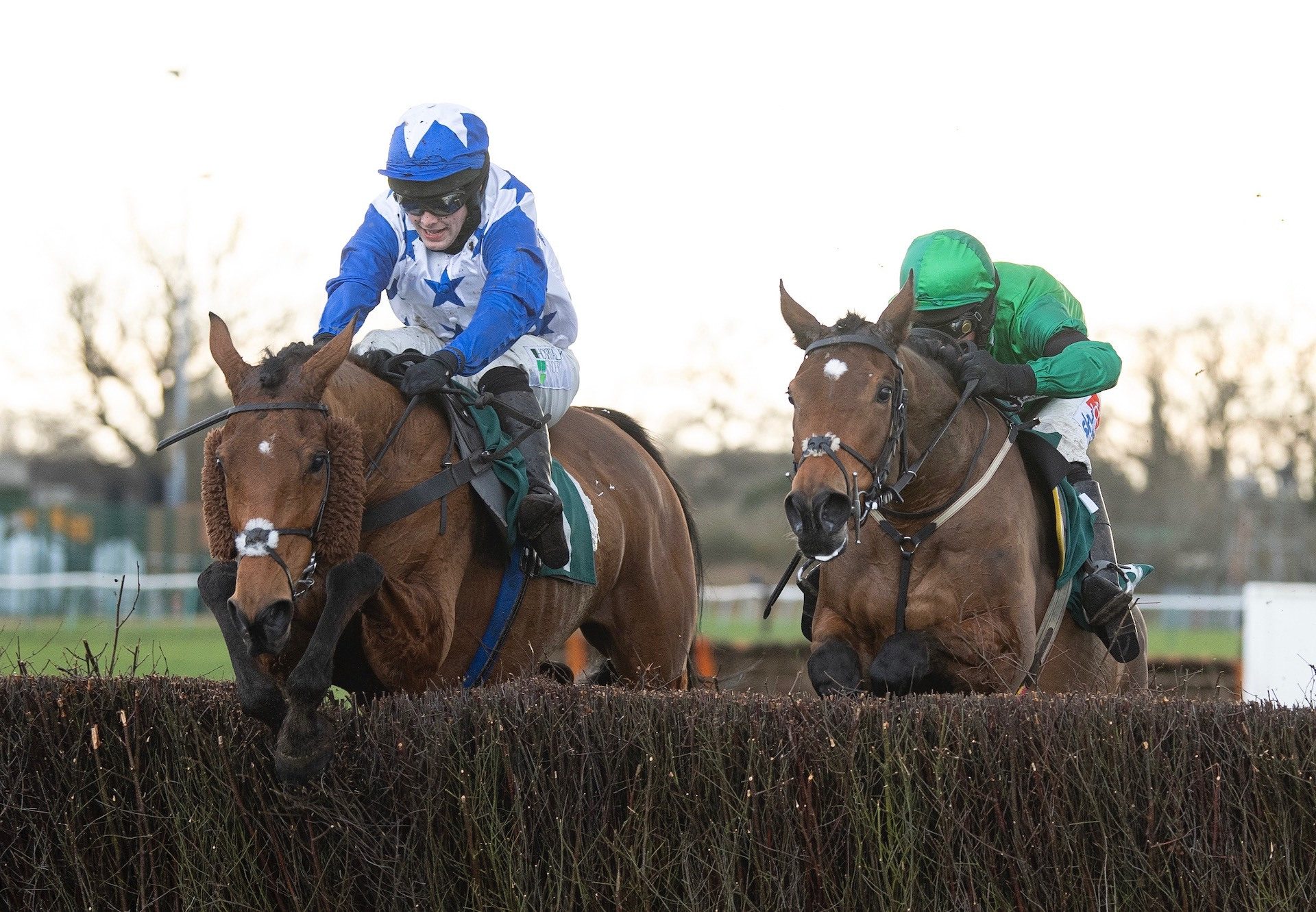 Annie Mc (Mahler) Wins The Listed Mares Chase At Warwick