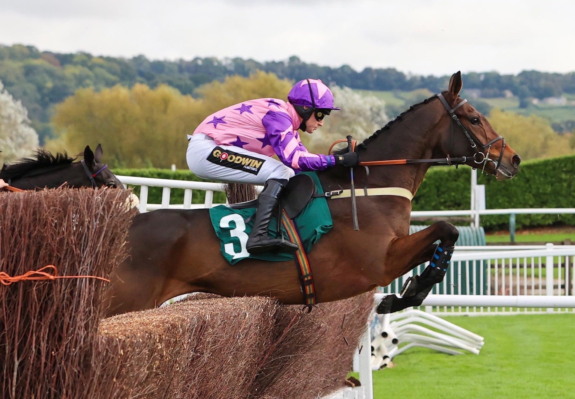 Annual Invictus (Mahler) Impresses At Cheltenham