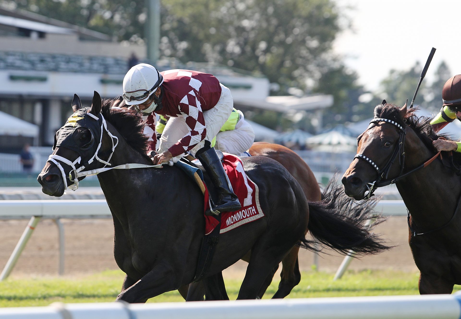 Another Miracle (American Pharoah) Wins The Listed My Frenchman Stakes at Monmouth Park