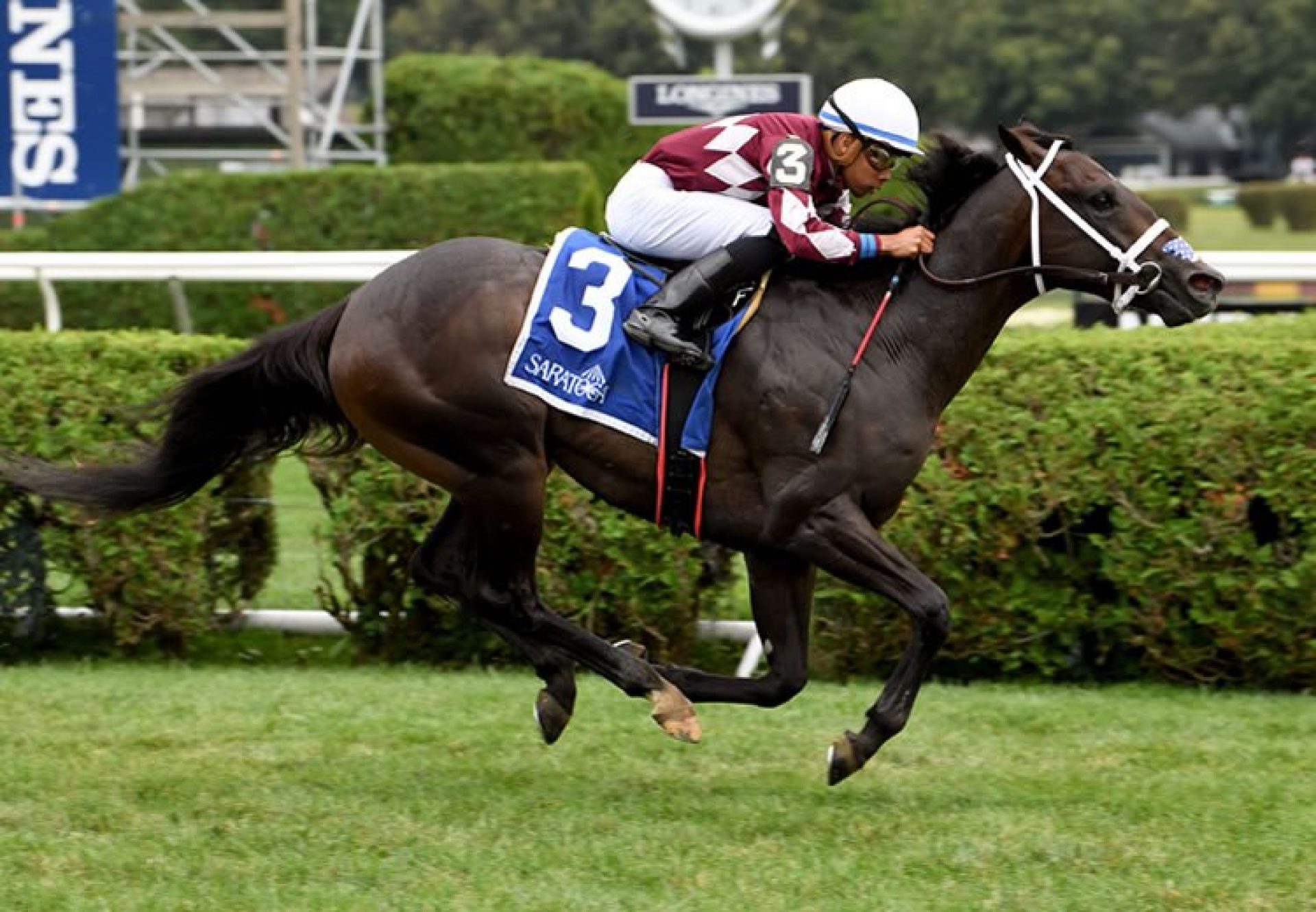 Another Miracle (American Pharoah) wnning the Skidmore Stakes at Saratoga