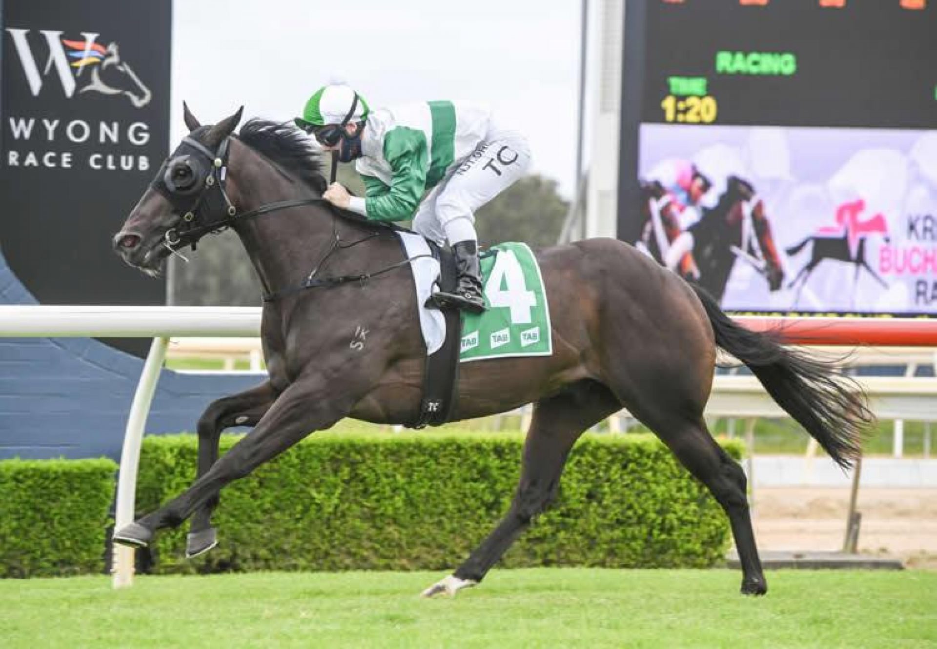 Anotherthinkcomin (Vancouver) winning at Wyong