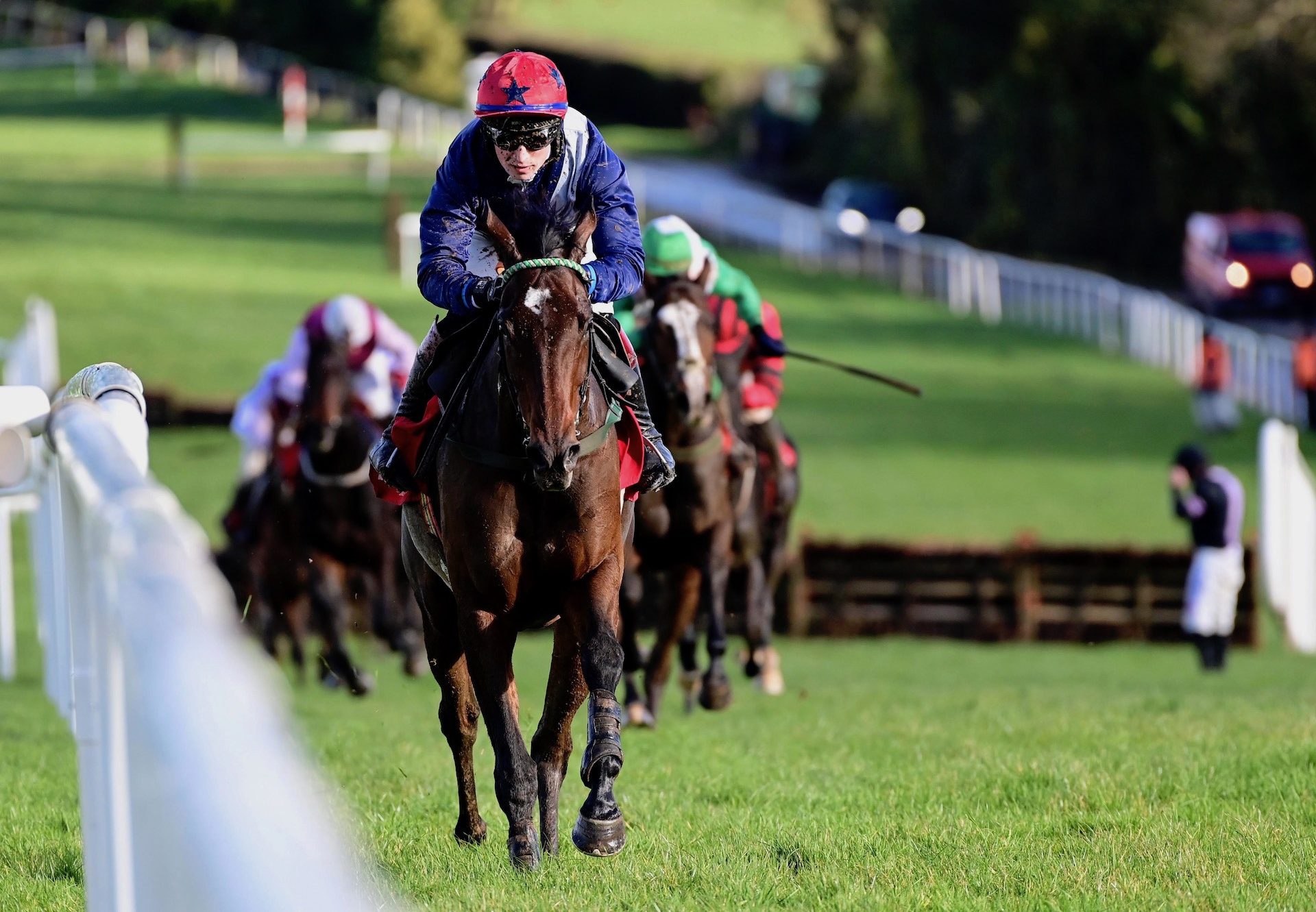 Any Road (Walk In The Park) Wins His Maiden Hurdle At Clonmel