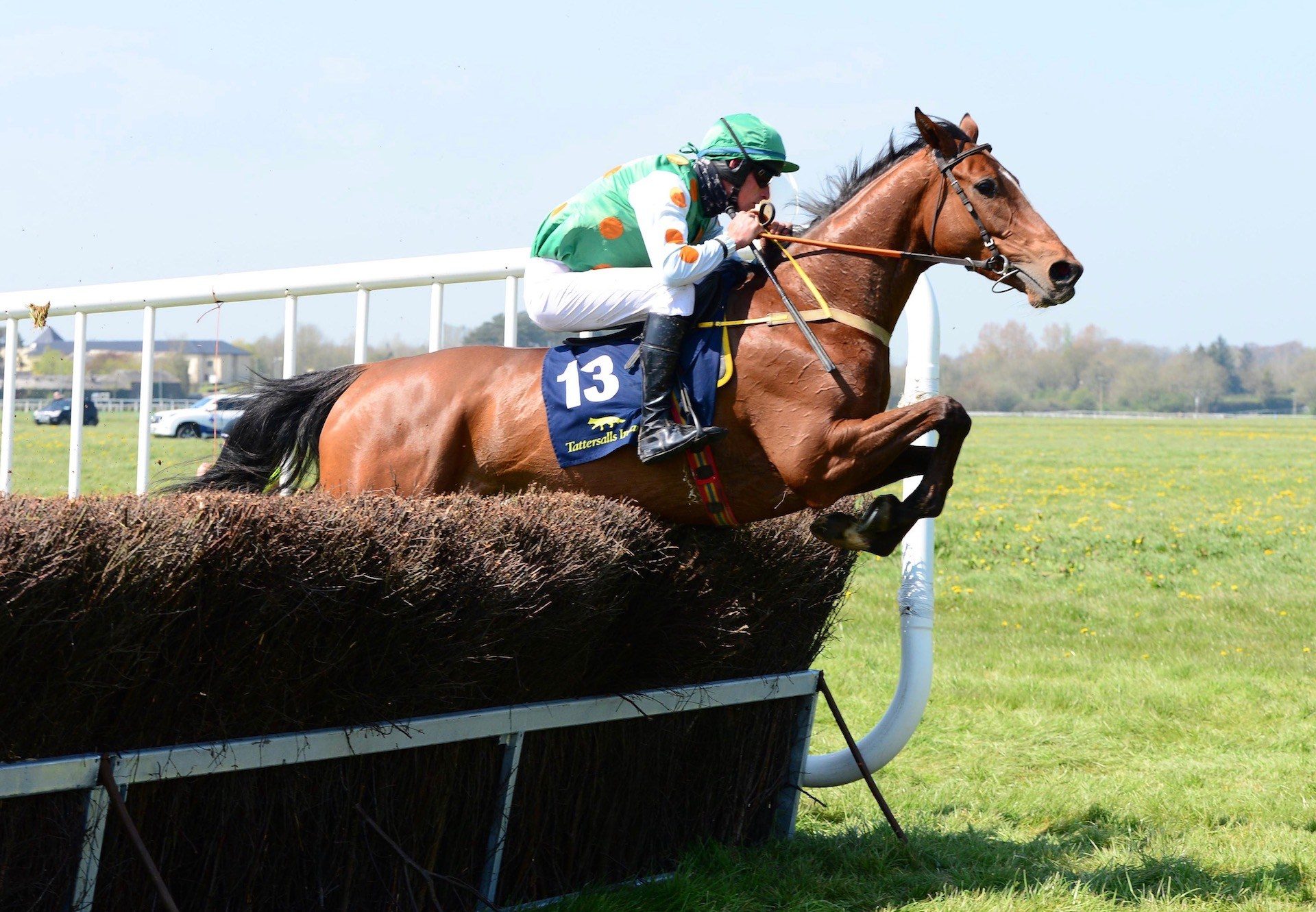 Anyharminasking (Getaway) Wins The 4 YO Maiden At Tipperary