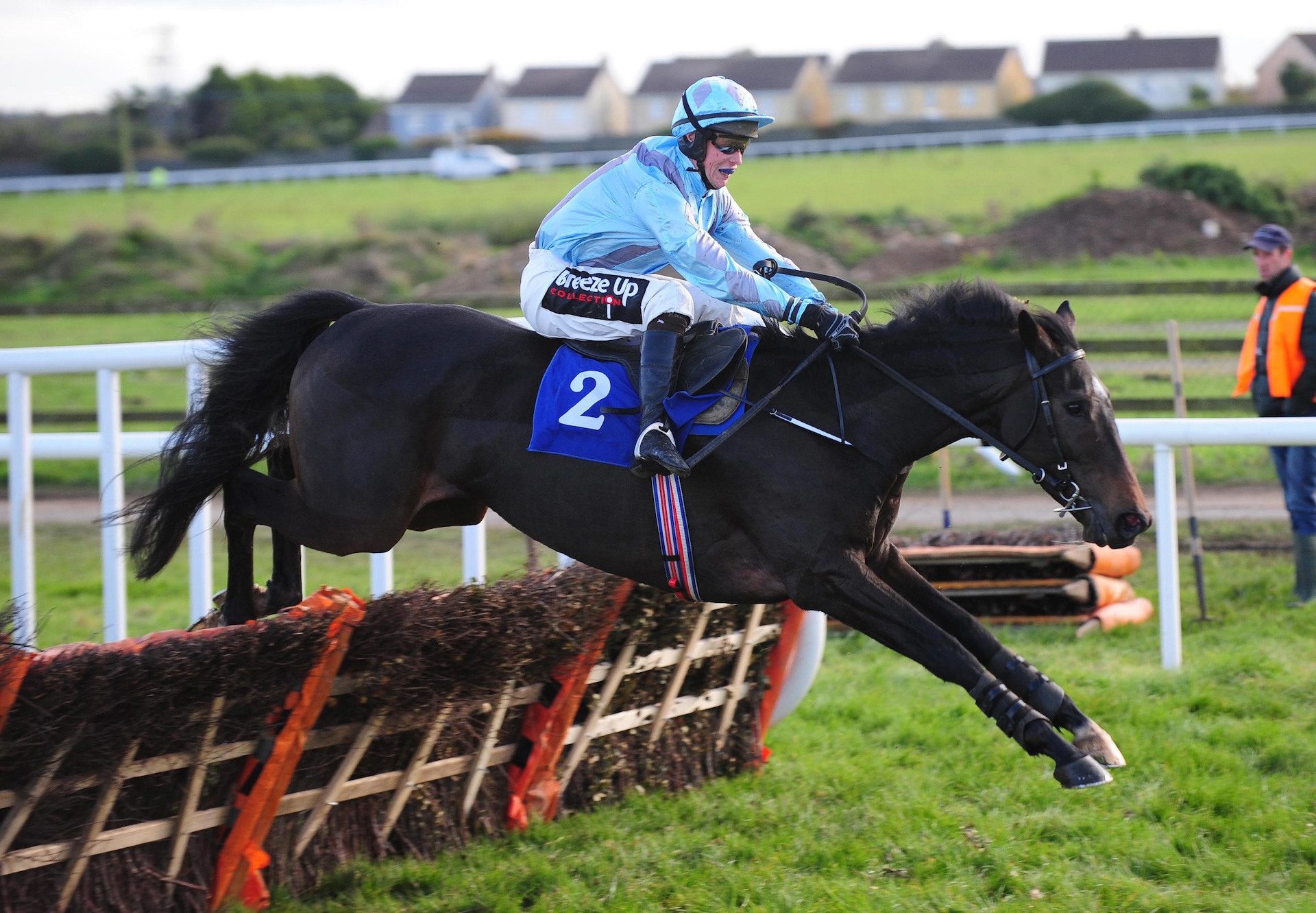 Anything Will Do (Westerner) Wins At Wexford