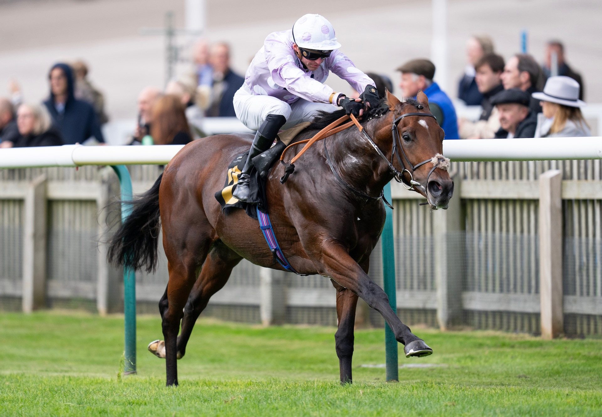 Anzac Day (Australia) Wins Newmarket Maiden