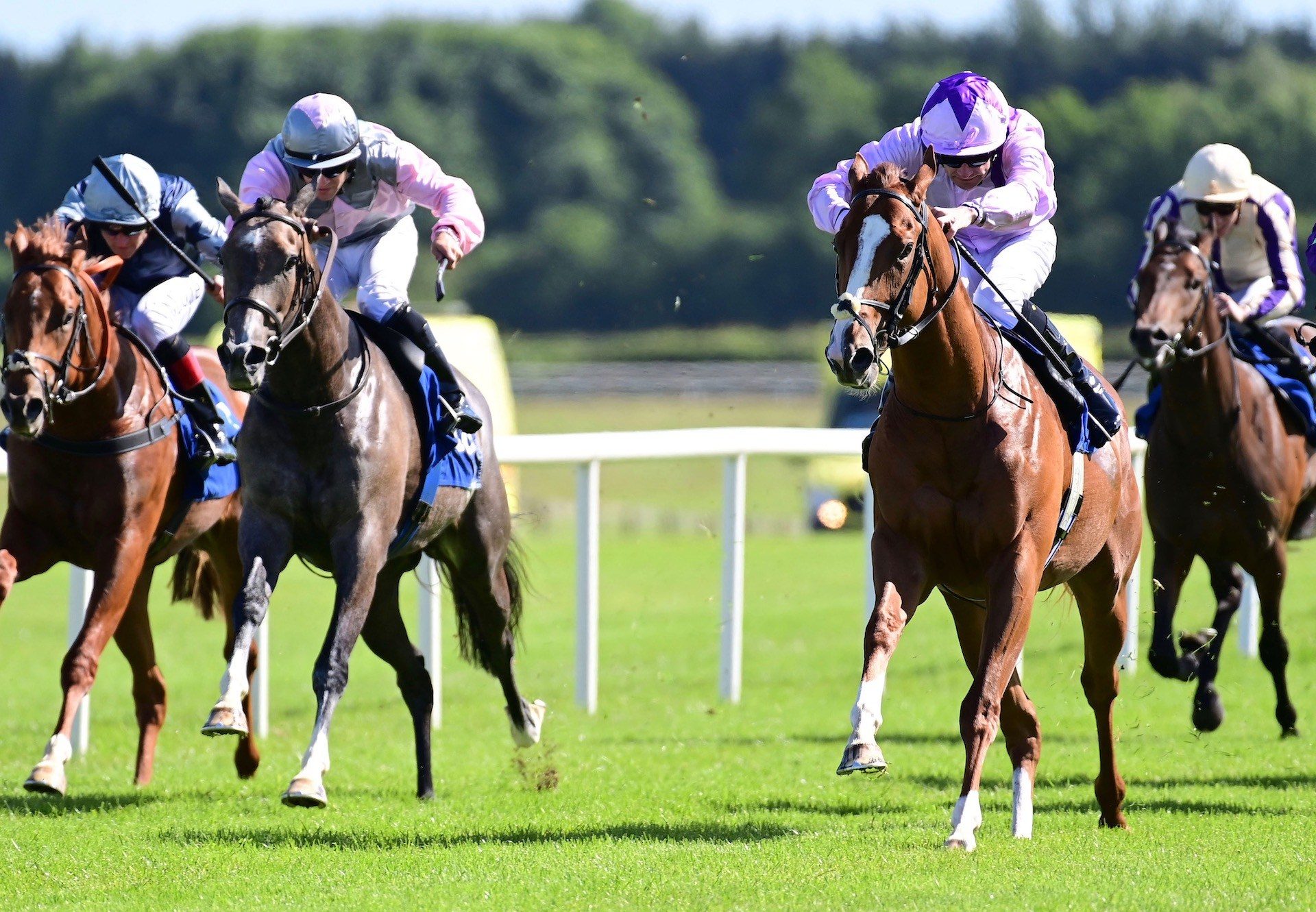 Apache Outlaw (Churchill) Wins His Maiden At Fairyhouse