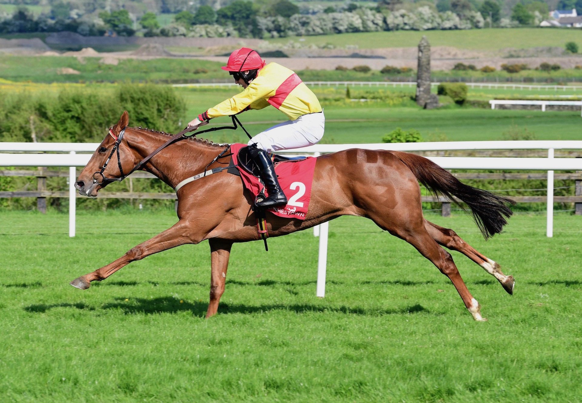 Apple Crumble (Getaway) Wins The Mares Bumper At Punchestown