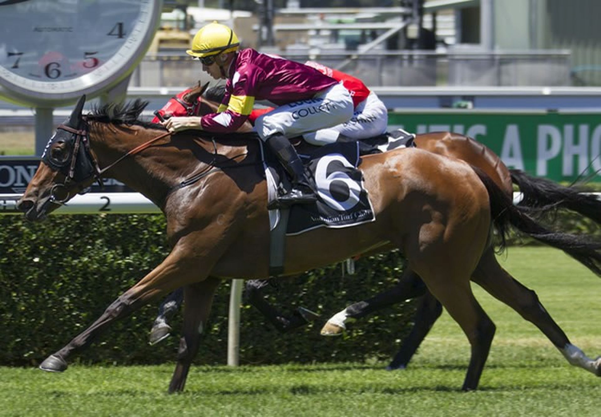 Aqua D'Ivina (Fastnet Rock) winning at Randwick