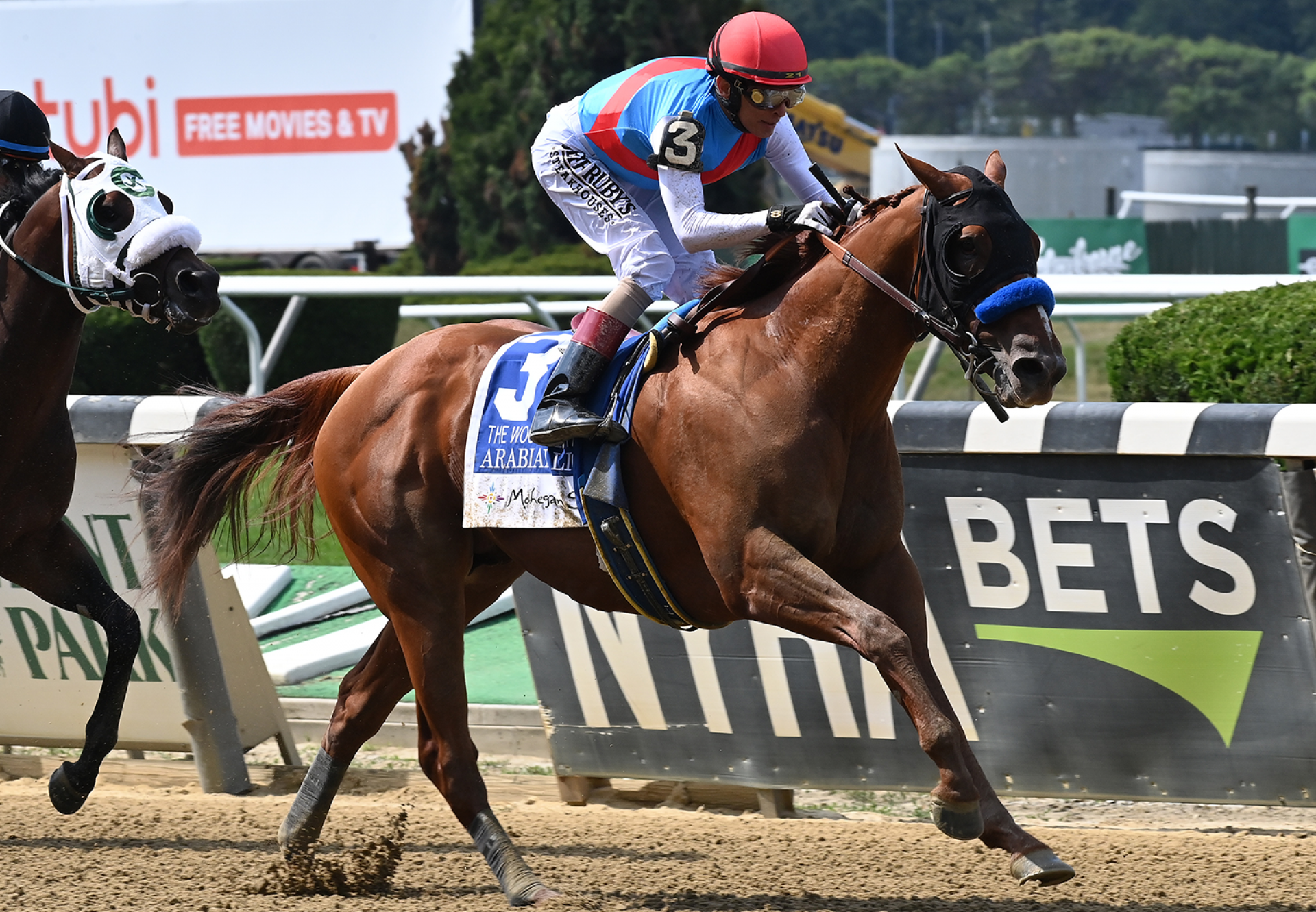 Arabian Lion (Justify) Wins Gr.1 Woody Stephens at Belmont Park