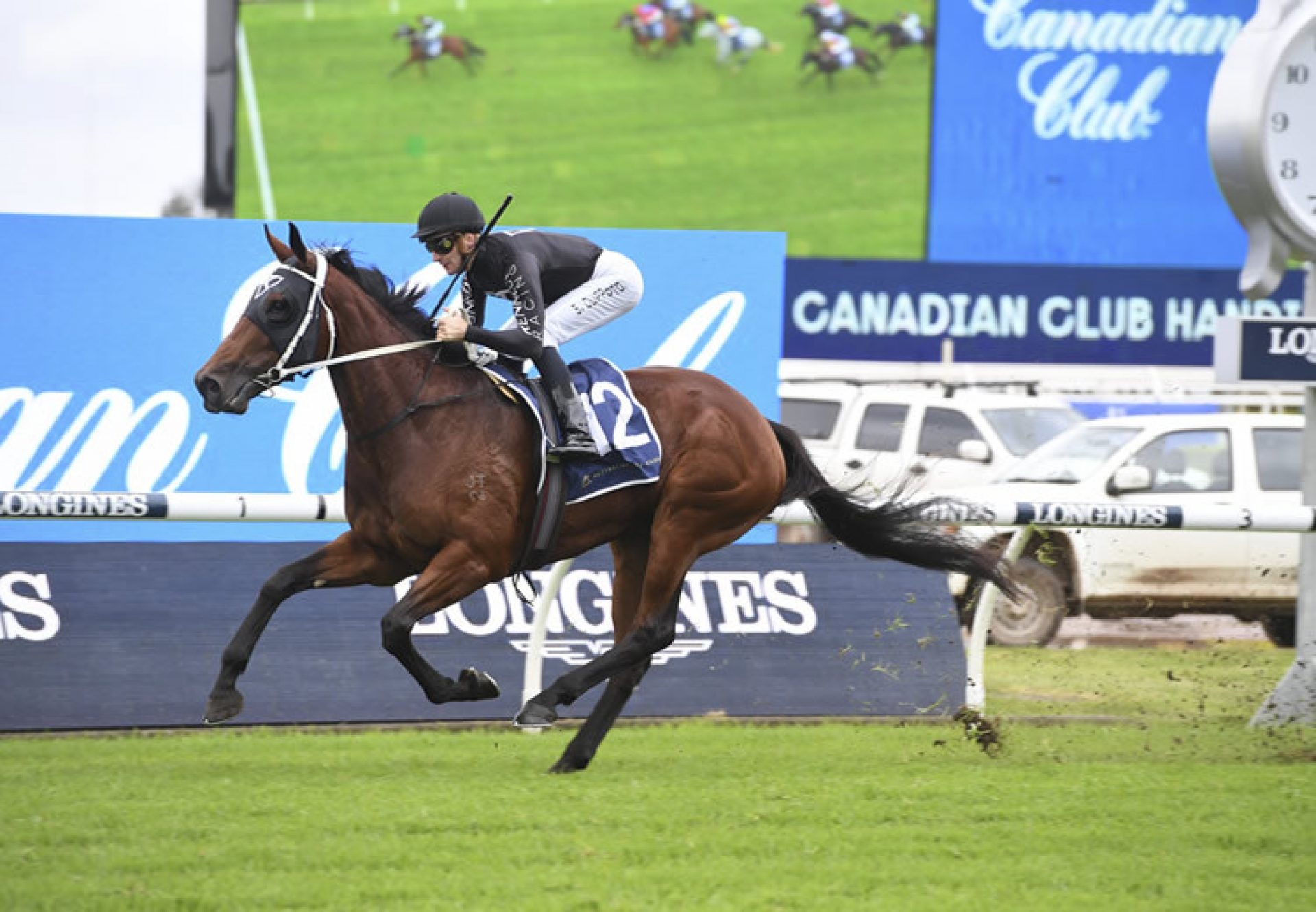 Aravene (Fastnet Rock) winning at Rosehill