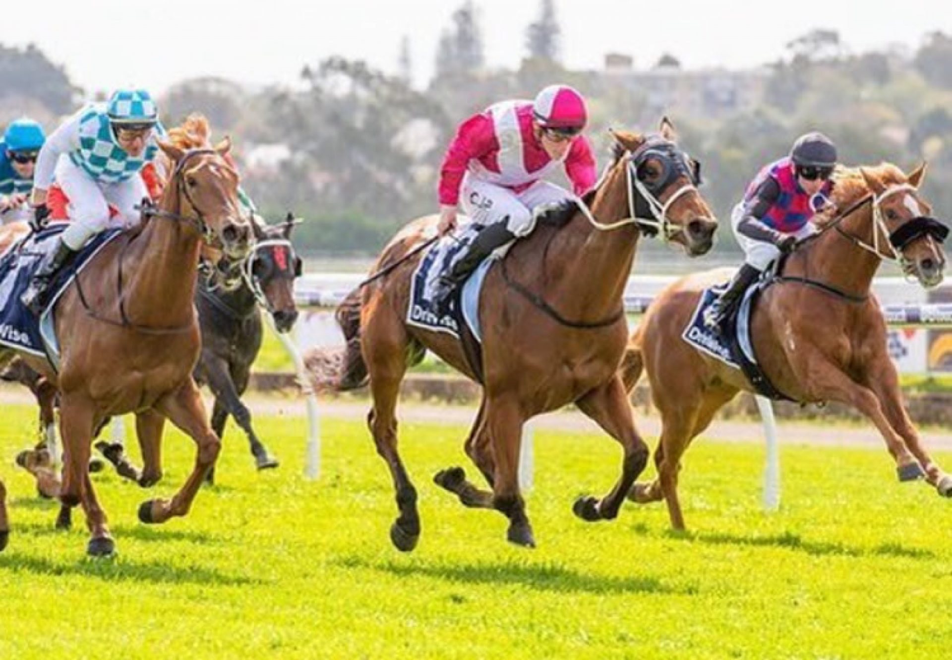 Arcadia Star (Pierro) winning at Ascot