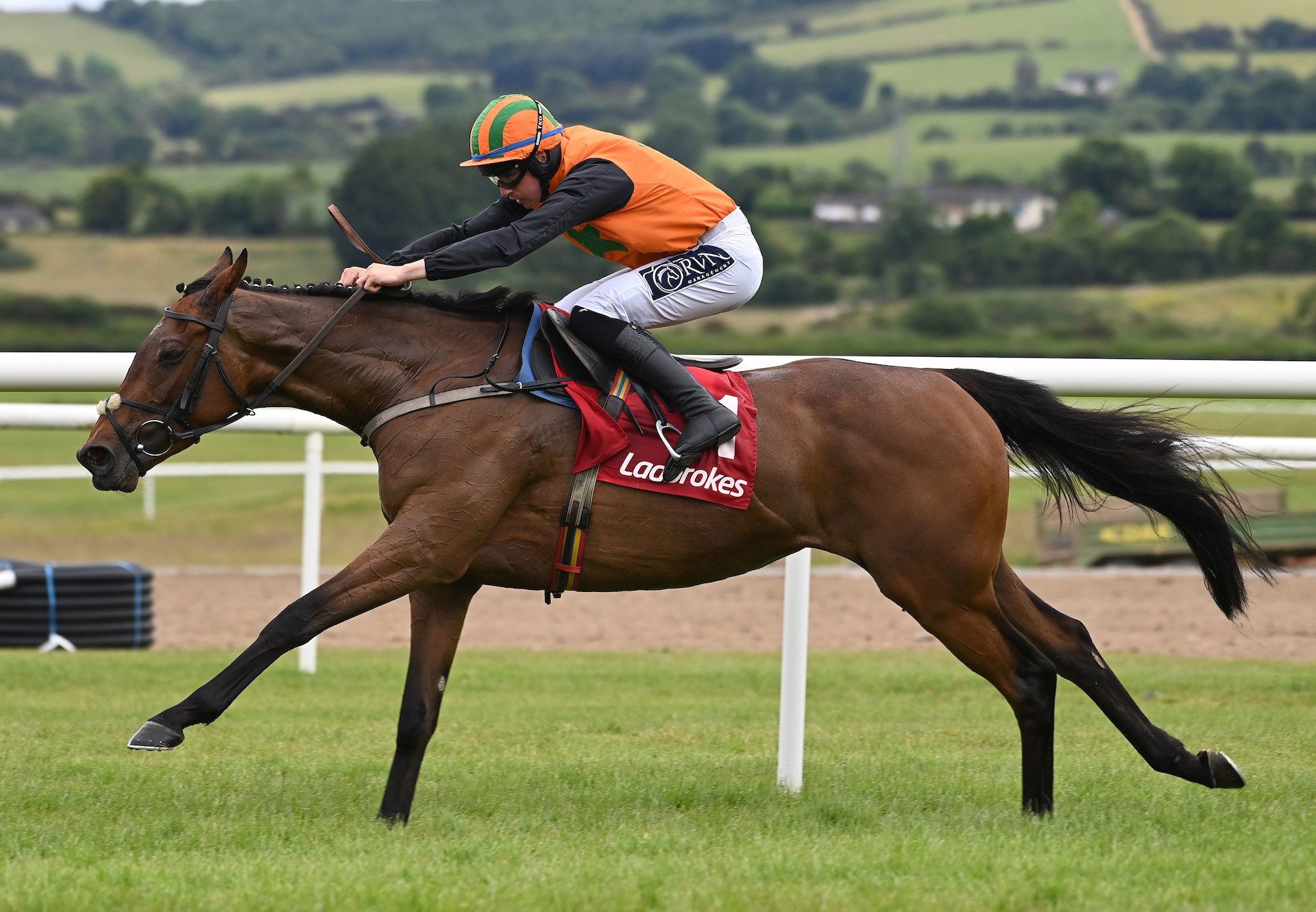 Arctic Fly (Walk In The Park) Wins On Hurdle Debut At Punchestown