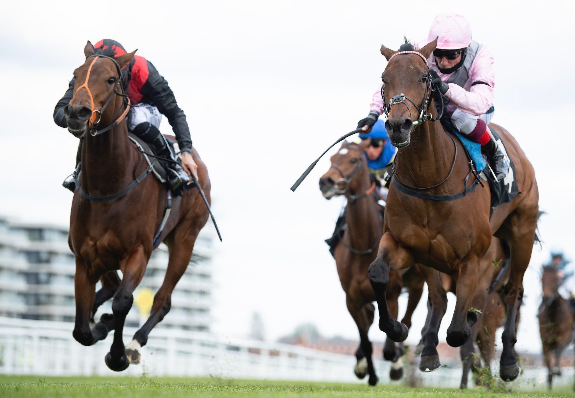 Aristia (Starspangledbanner) Wins The Fillies Maiden At Newbury