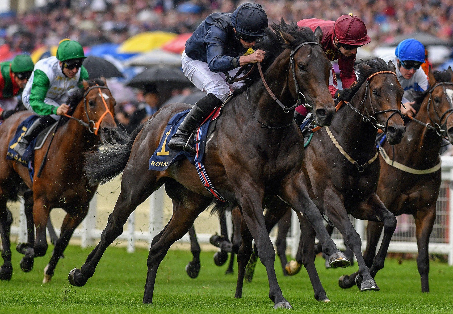 Arizona winning the Gr.2 Coventry Stakes at Royal Ascot