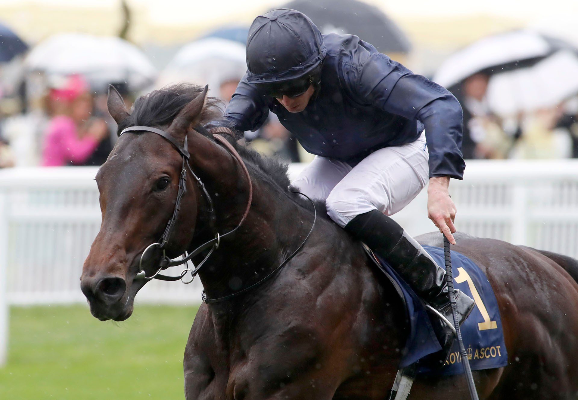 Arizona (No Nay Never) winning the Gr.2 Coventry Stakes at Royal Ascot