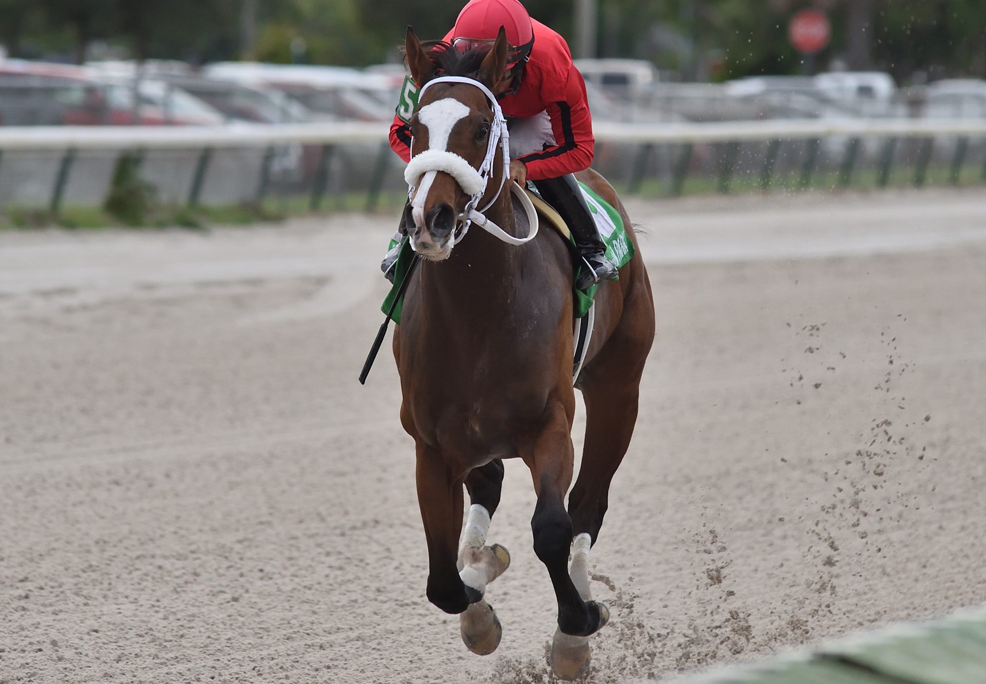As Seen On Tv (Lookin At Lucky) wins the Listed Juvenile Sprint at Gulfstream Park West