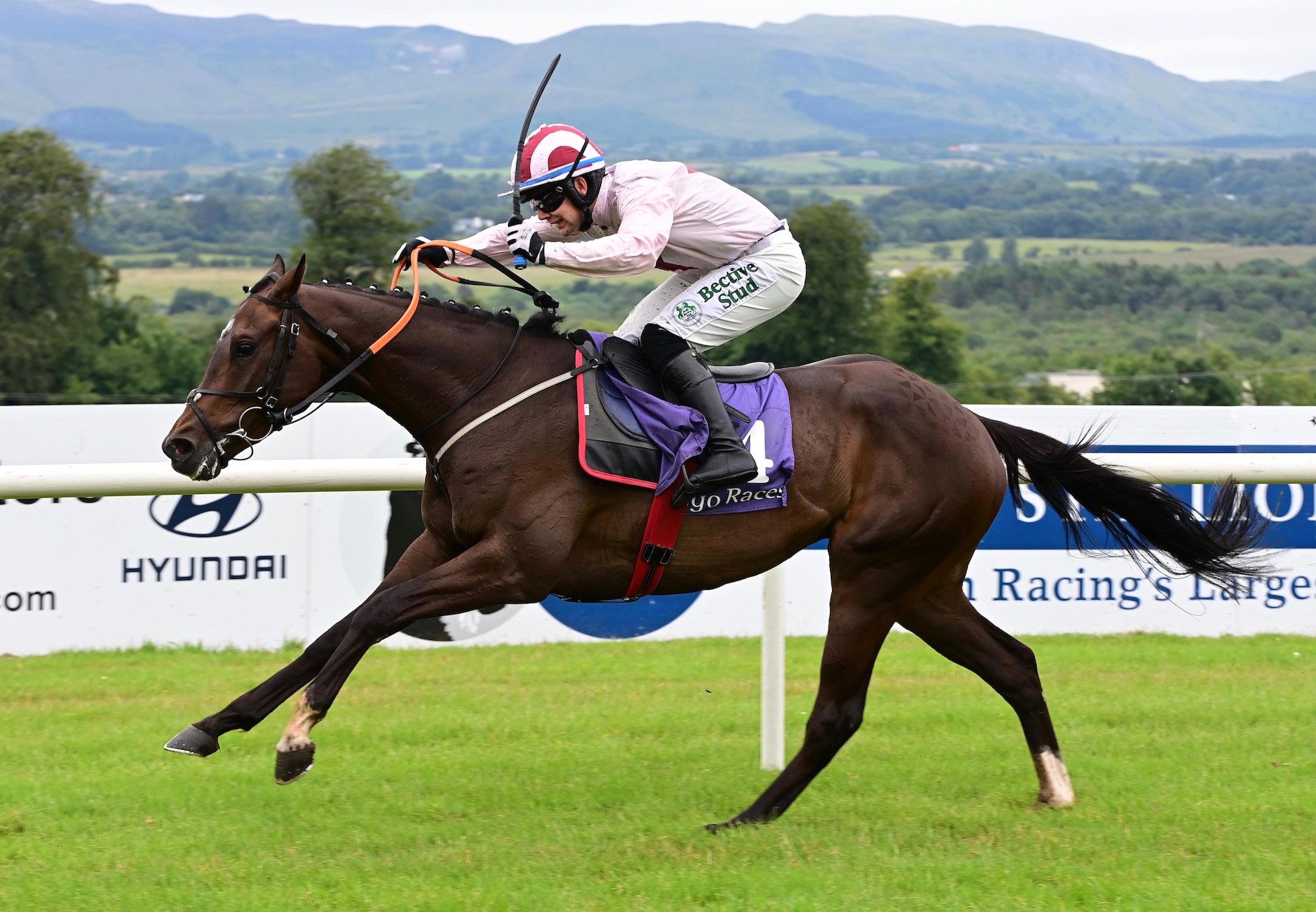 As Tears Go By (Vadamos) Wins The Maiden Hurdle At Sligo