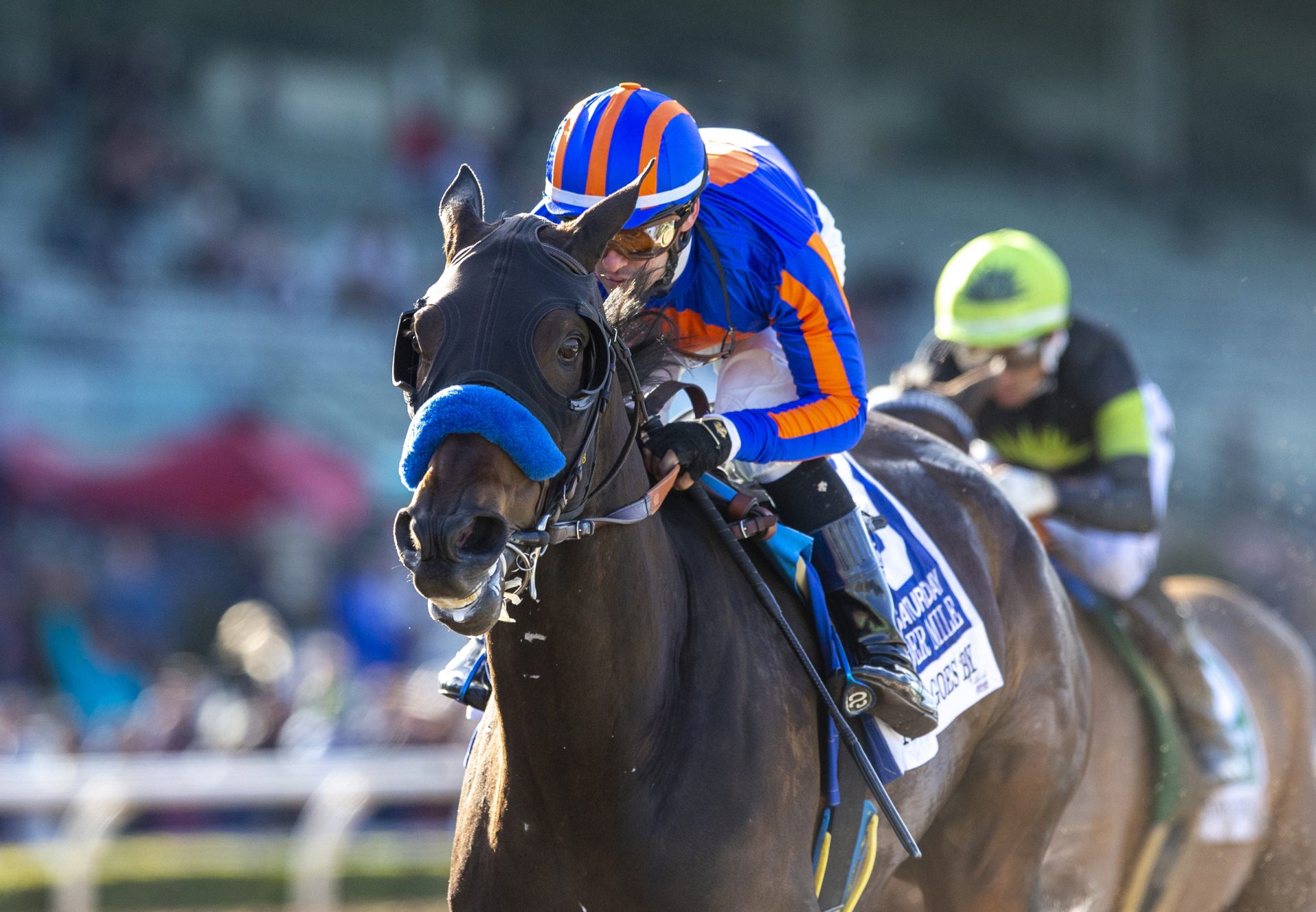 As Time Goes By (American Pharaoh) G1 Beholder Mile at Santa Anita