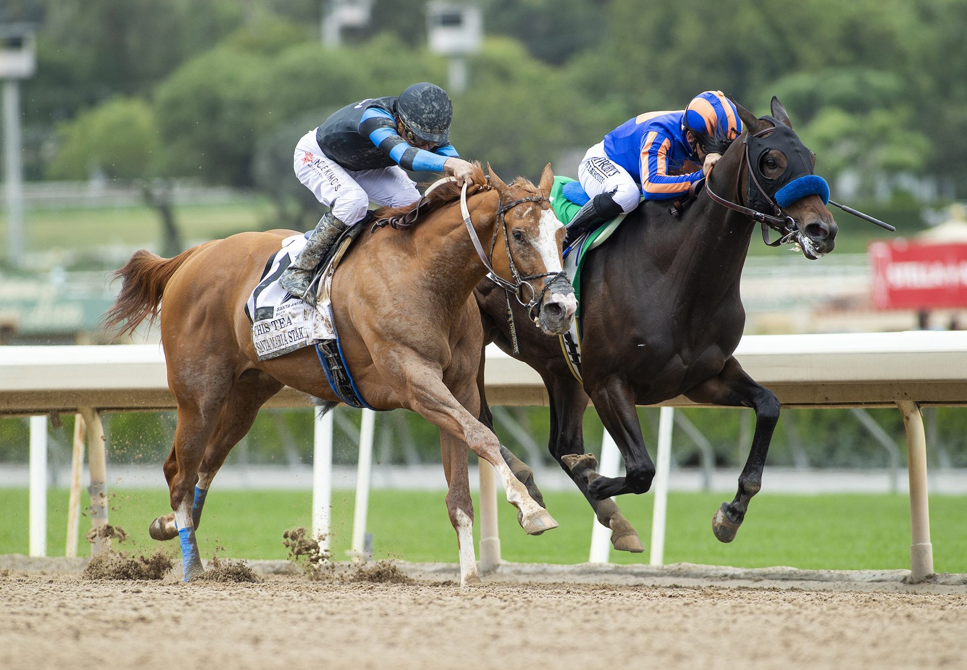 As Time Goes By (American Pharoah) Gr.2 Santa Maria Stakes at Santa Anita