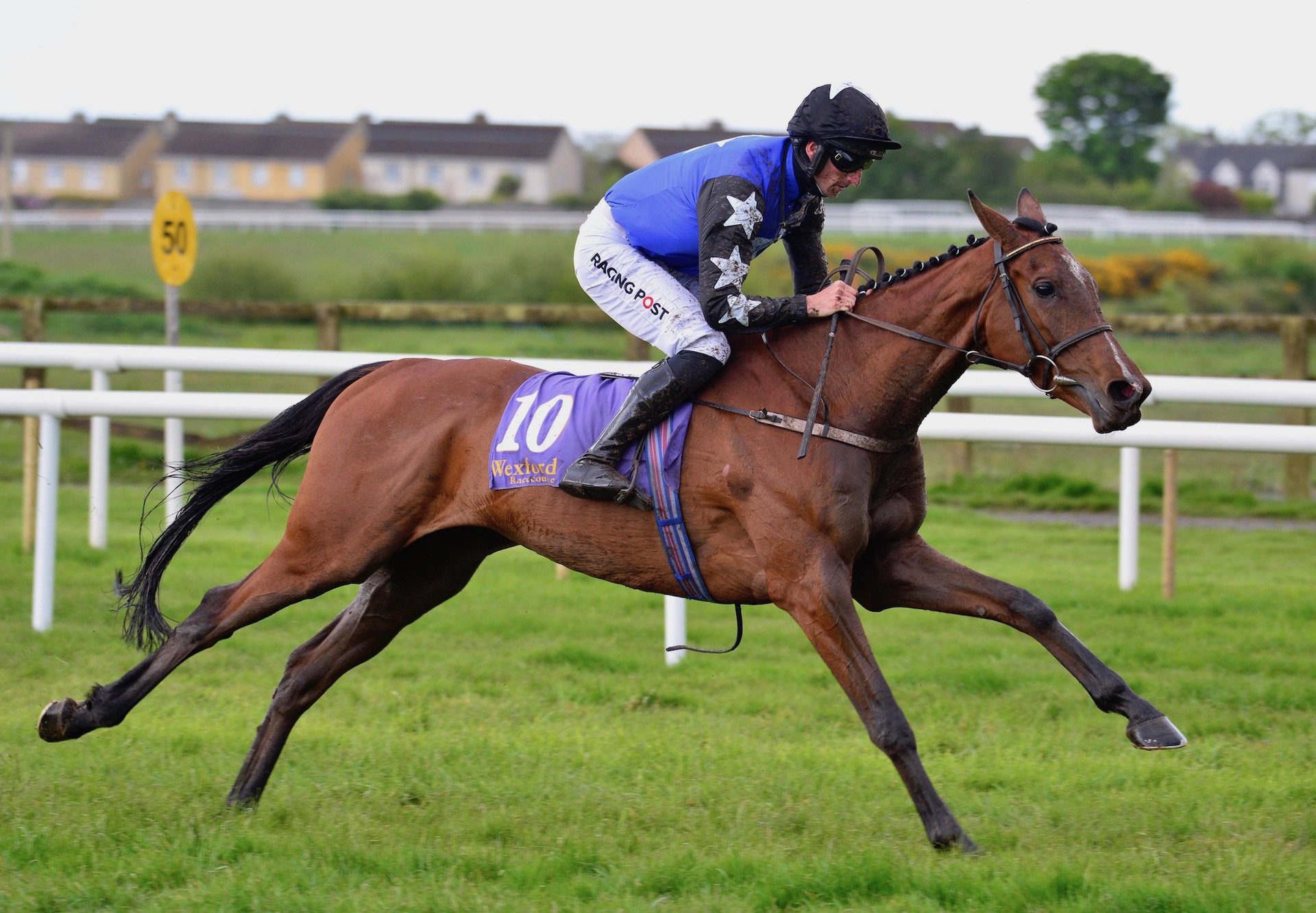 Ashroe Diamond (Walk In The Park) Impresses On Debut At Wexford